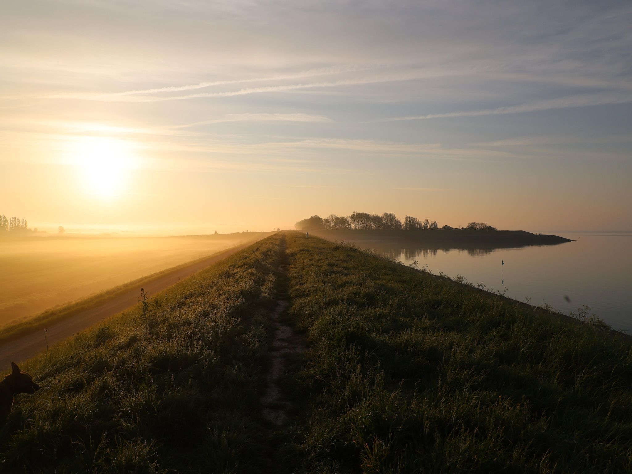 Casa Anna in Scherpenisse - Foto 30 van 40