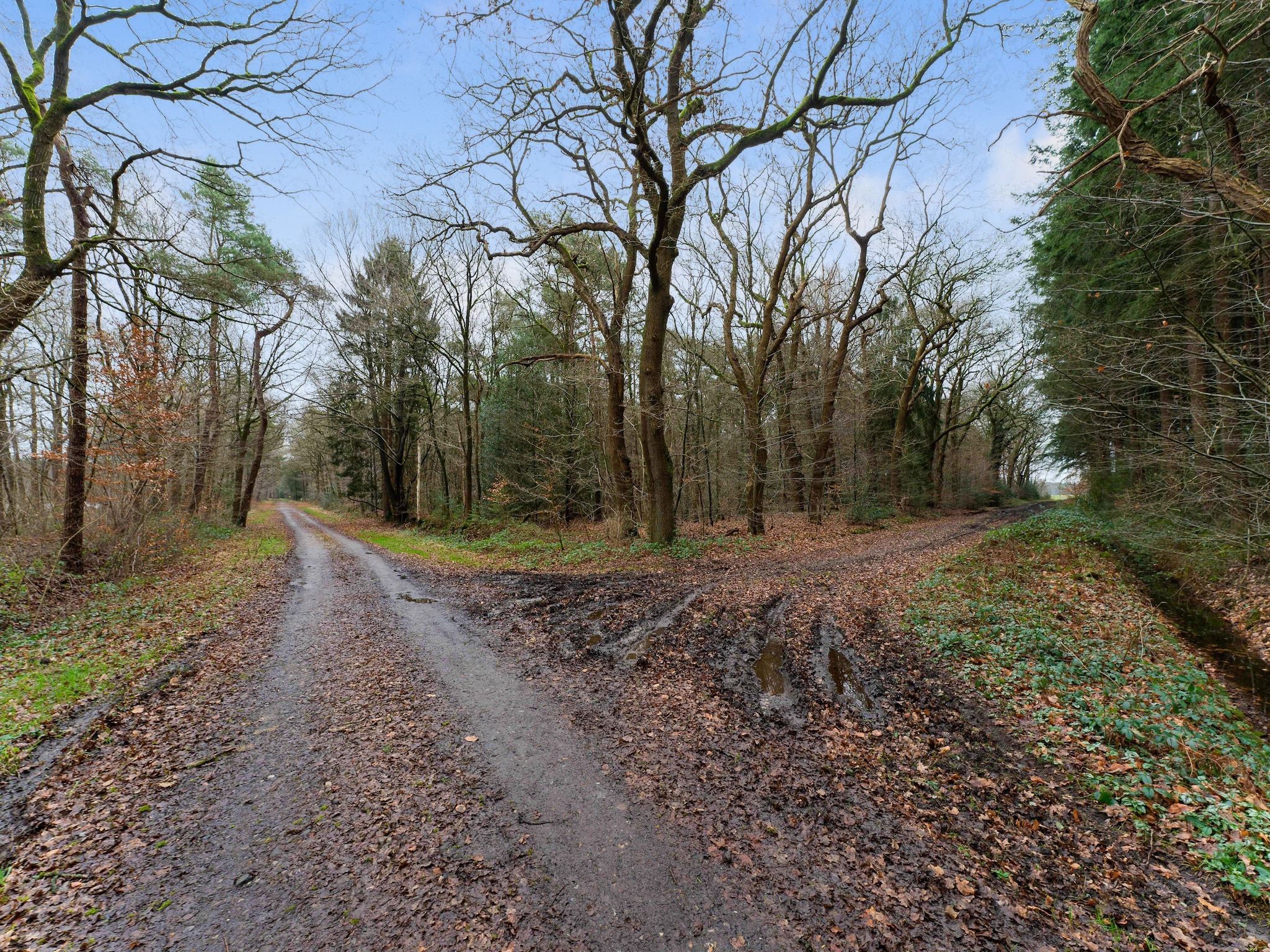 De tuin van Boshuis De Klim in Norg