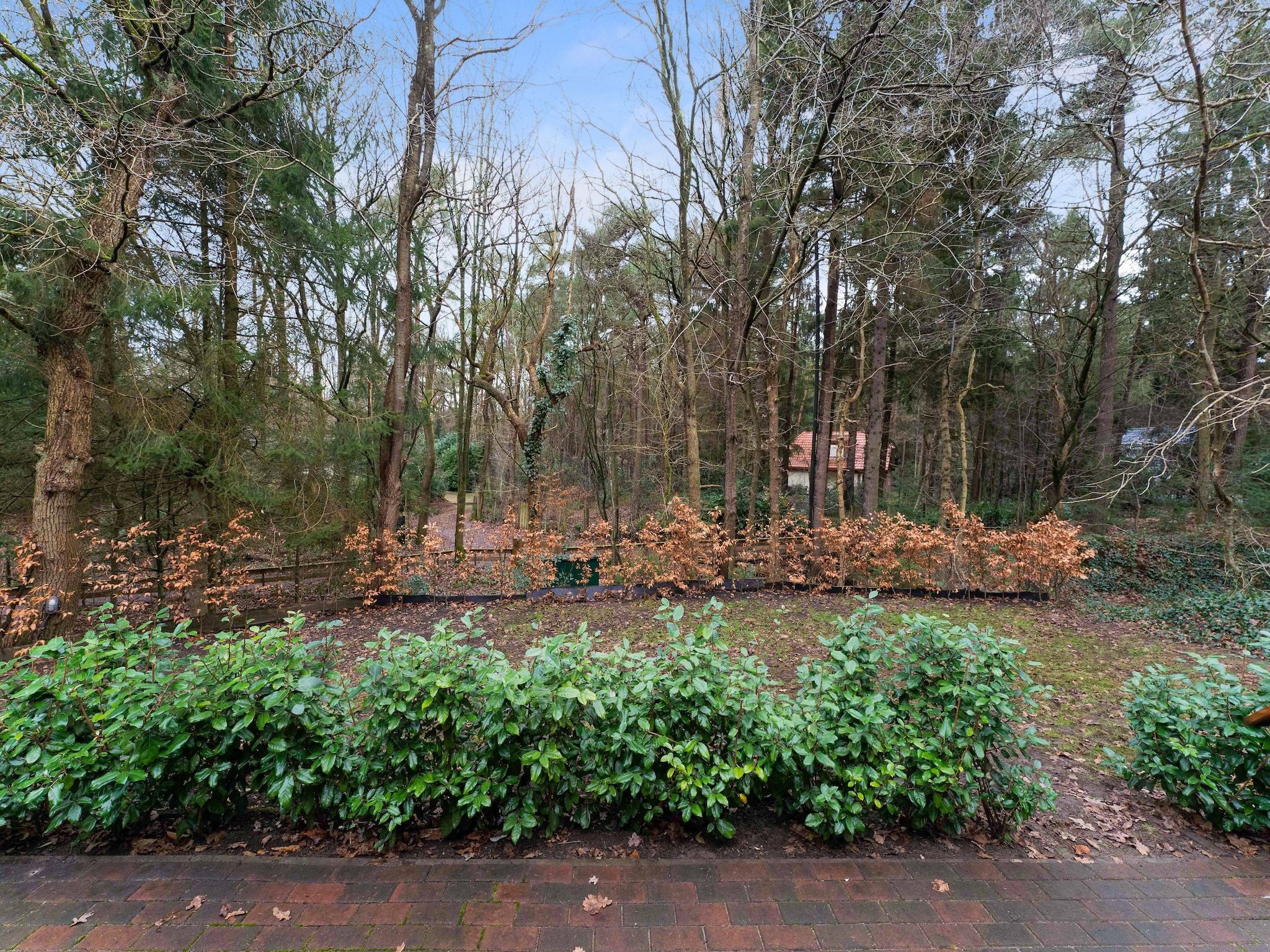 De omgeving van Boshuis De Klim in Norg