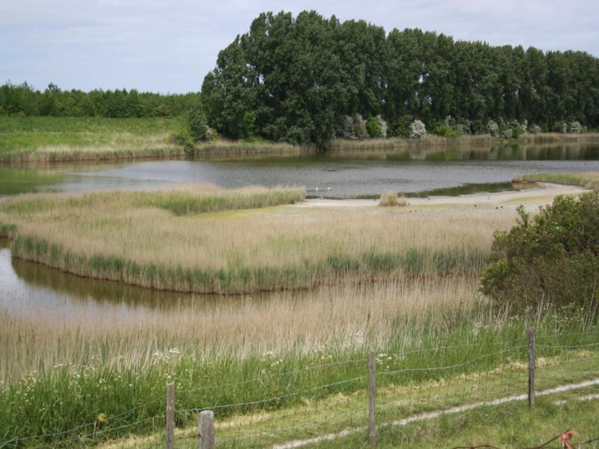 De Meerkoet Huis Nr 37 in Scherpenisse - Foto 32 van 40
