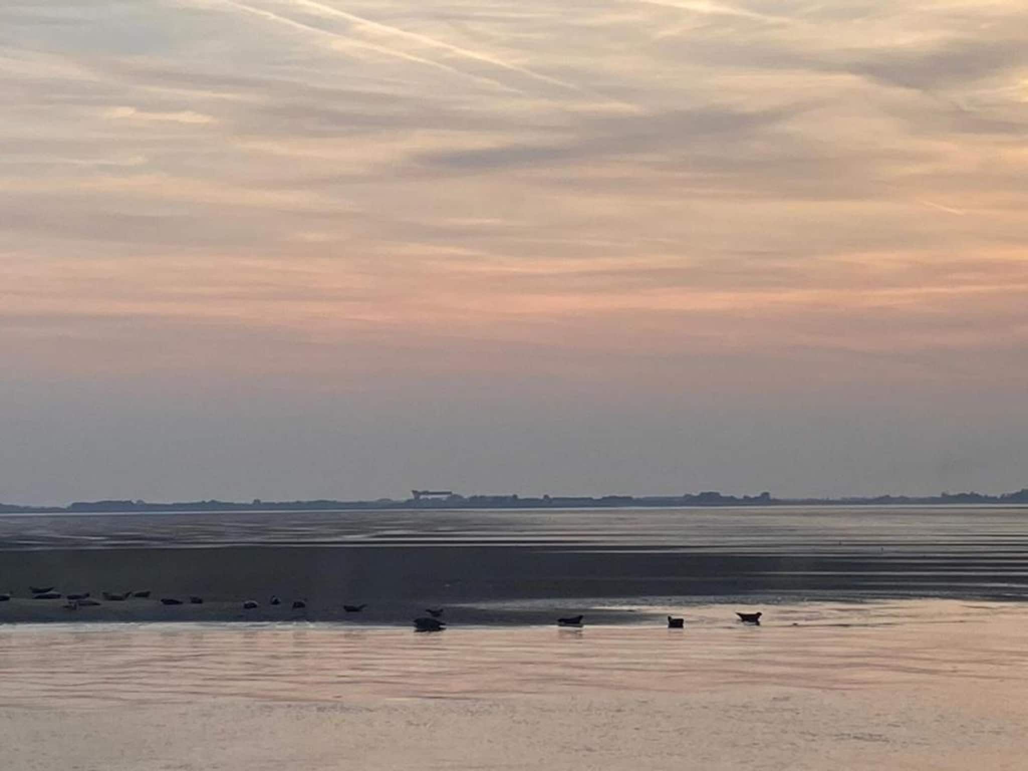 De Meerkoet Huis Nr 37 in Scherpenisse - Foto 35 van 40