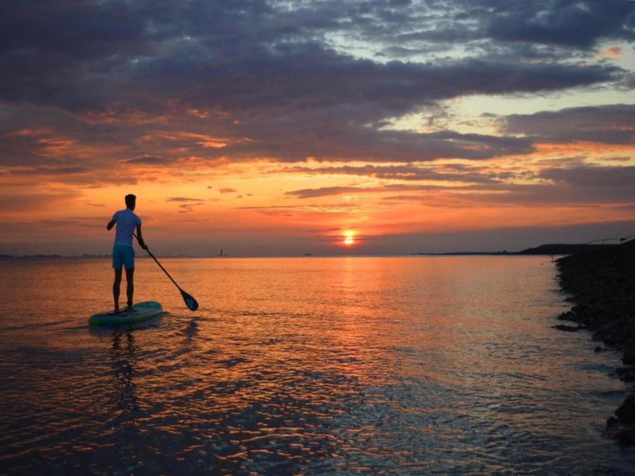 De Meerkoet Huis Nr 37 in Scherpenisse - Foto 37 van 40
