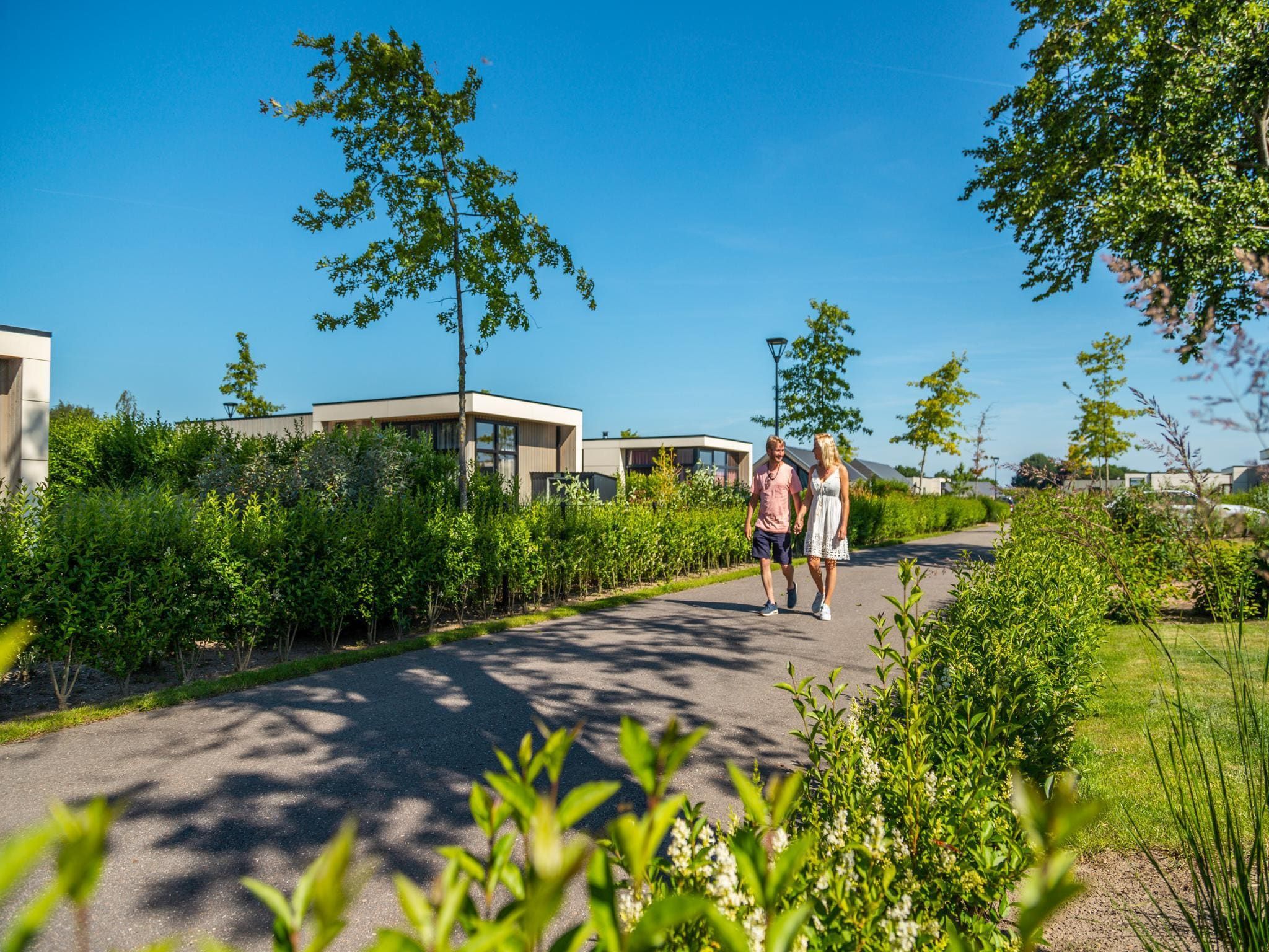 De omgeving van Cube la Mer 4 in Olburgen