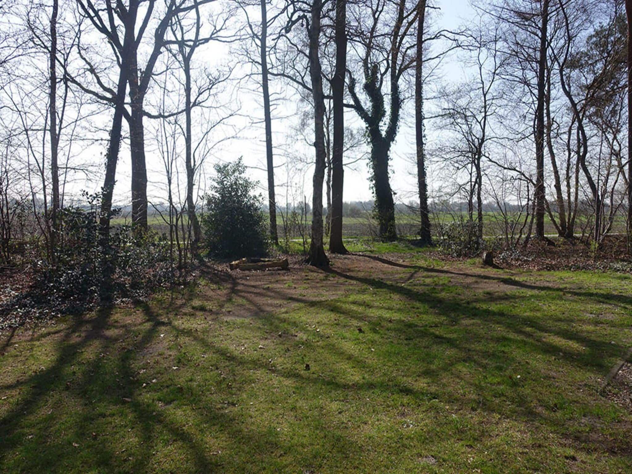 De tuin van Buitenplaats Berg en Bos nummer 4 in Lemele