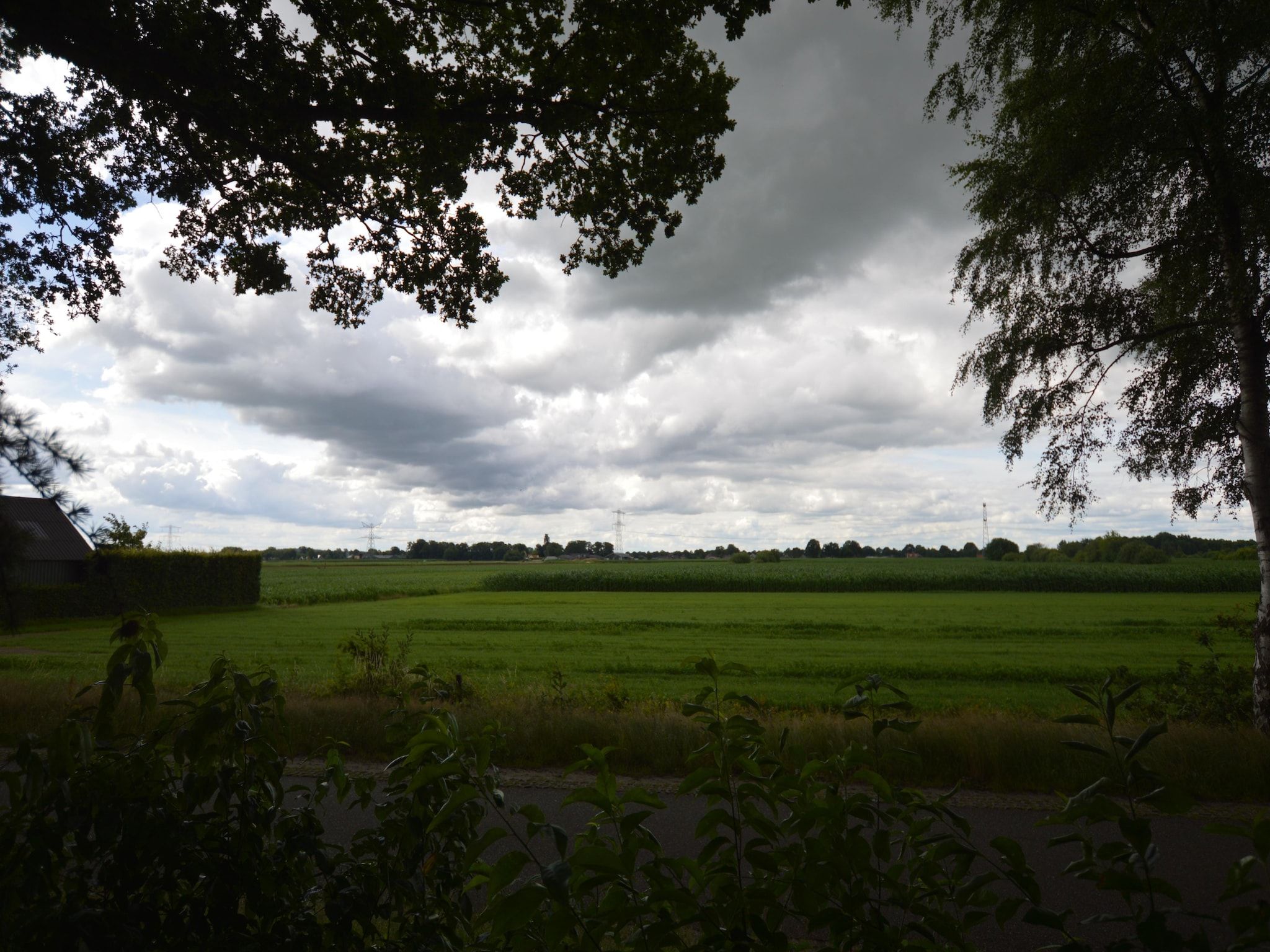 Het uitzicht vanaf Buitenplaats Berg en Bos nummer 4 in Lemele
