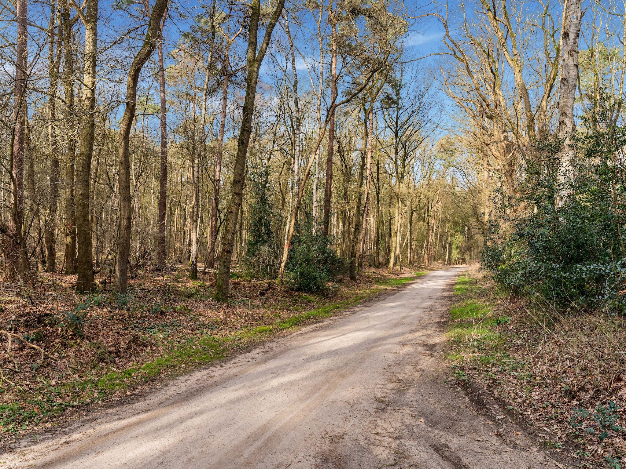 De omgeving van De Hooischuur in Hellendoorn in Hellendoorn