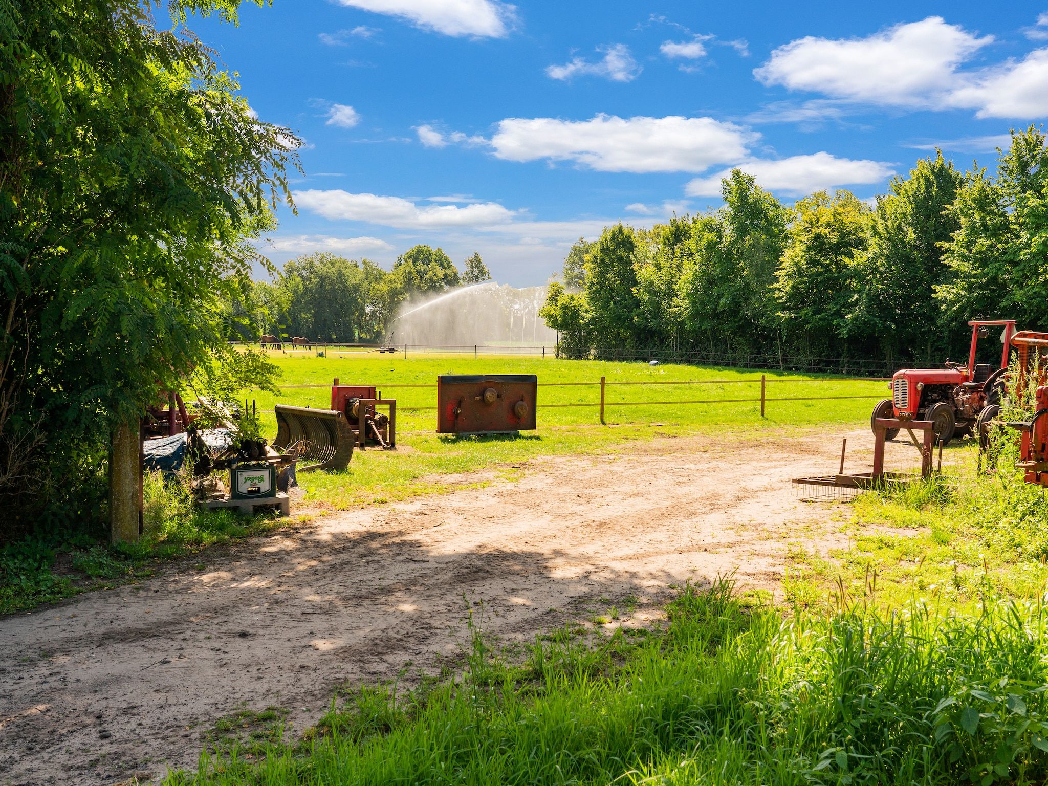 Steenmarter in Reutum - Foto 35 van 40
