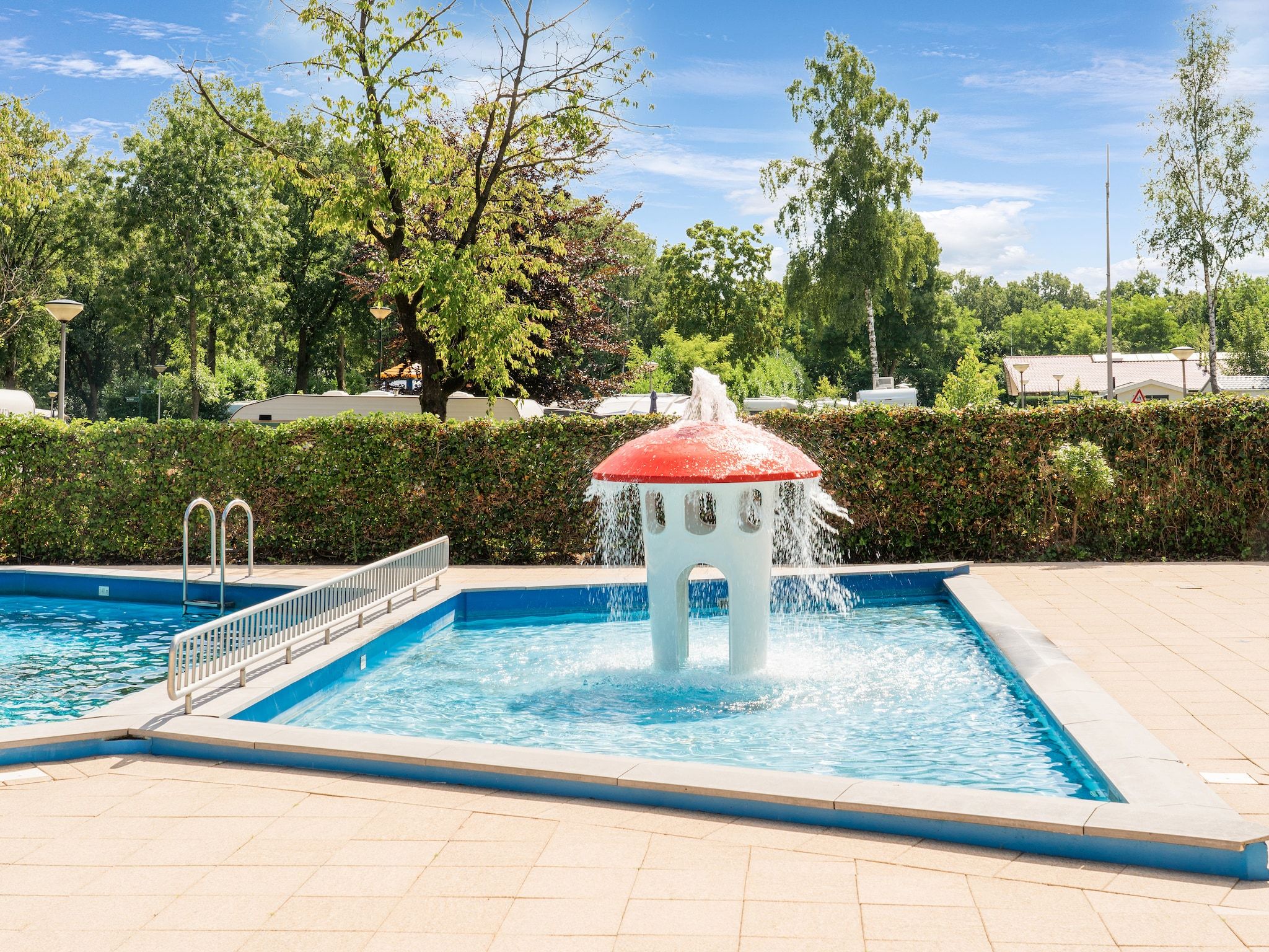 Steenmarter in Reutum - Foto 9 van 40