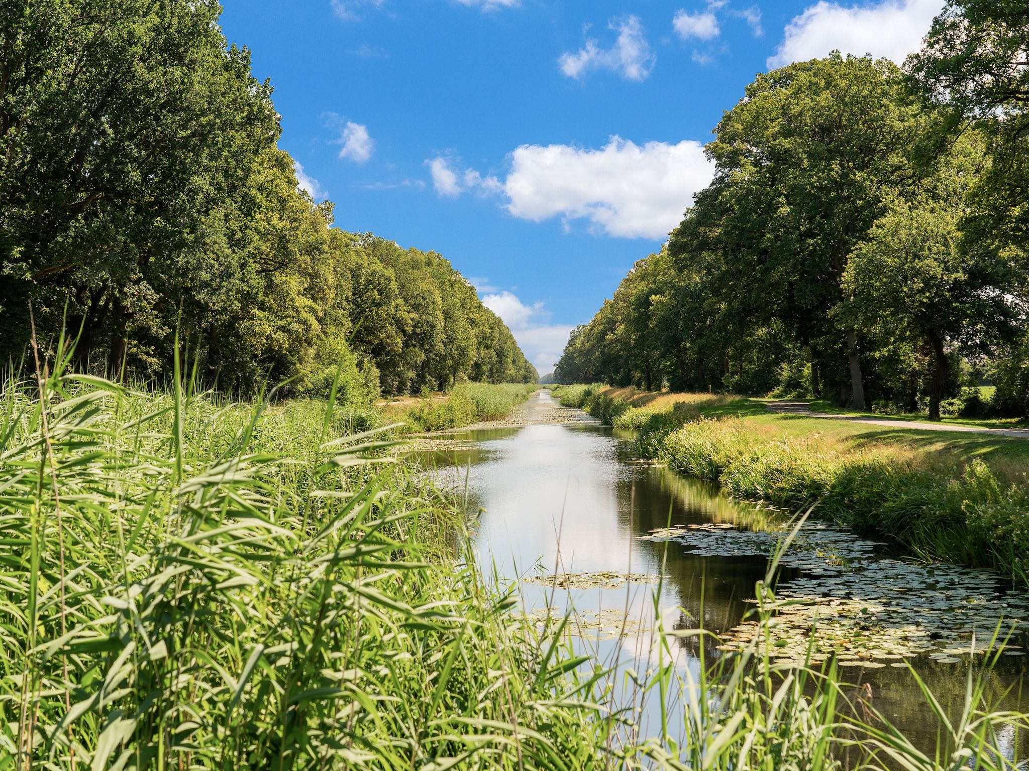 De omgeving van Steenmarter in Reutum