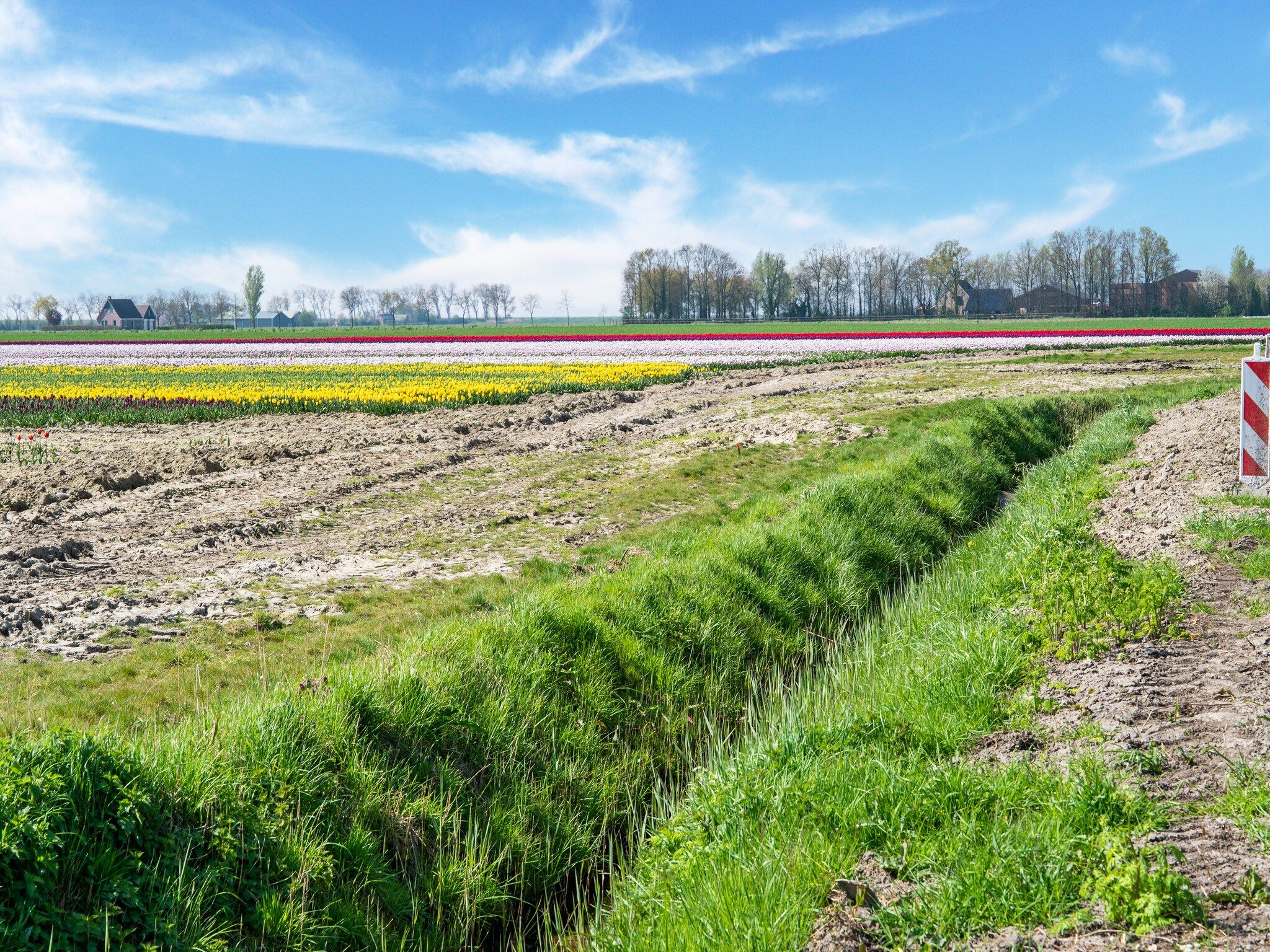 De omgeving van De Tjiftjaf Huis Nr 21 in Scherpenisse