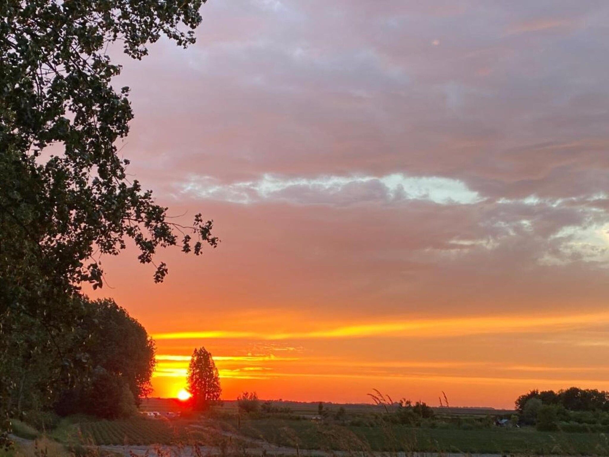 De Tjiftjaf Huis Nr 21 in Scherpenisse - Foto 36 van 40