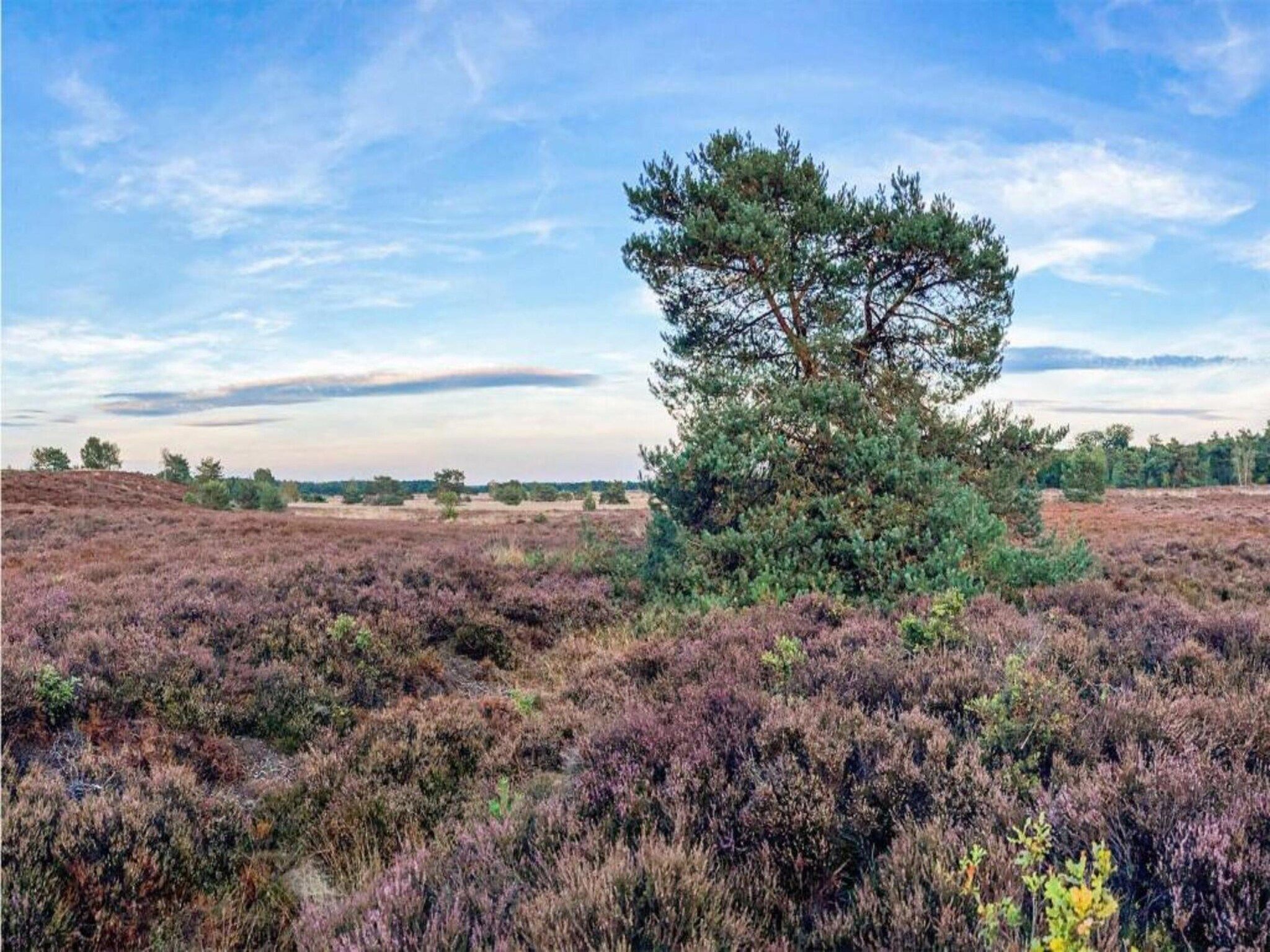 De omgeving van De Veluwse Hoevegaerde 5 in Putten