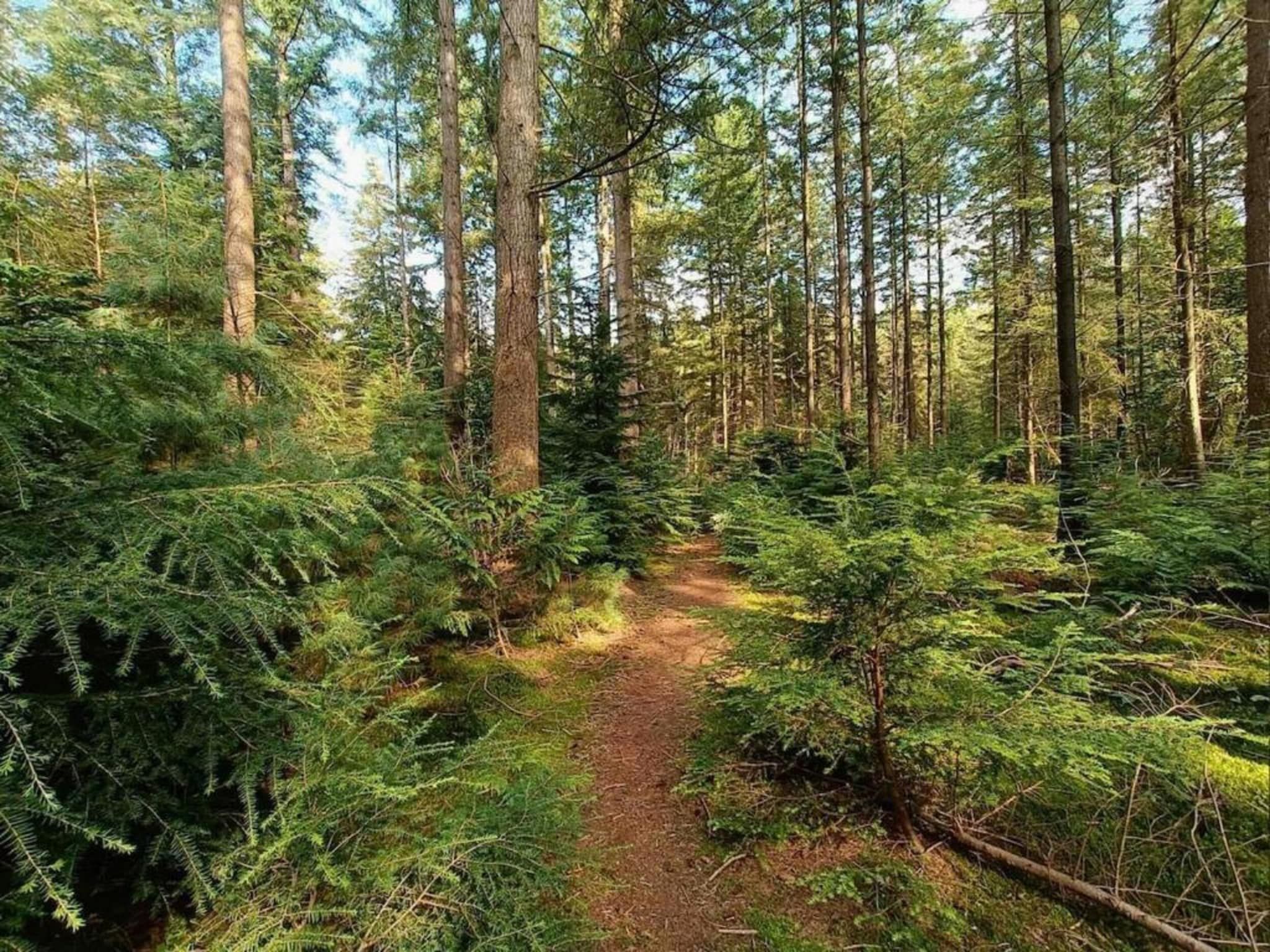 De omgeving van De Veluwse Hoevegaerde 5 in Putten