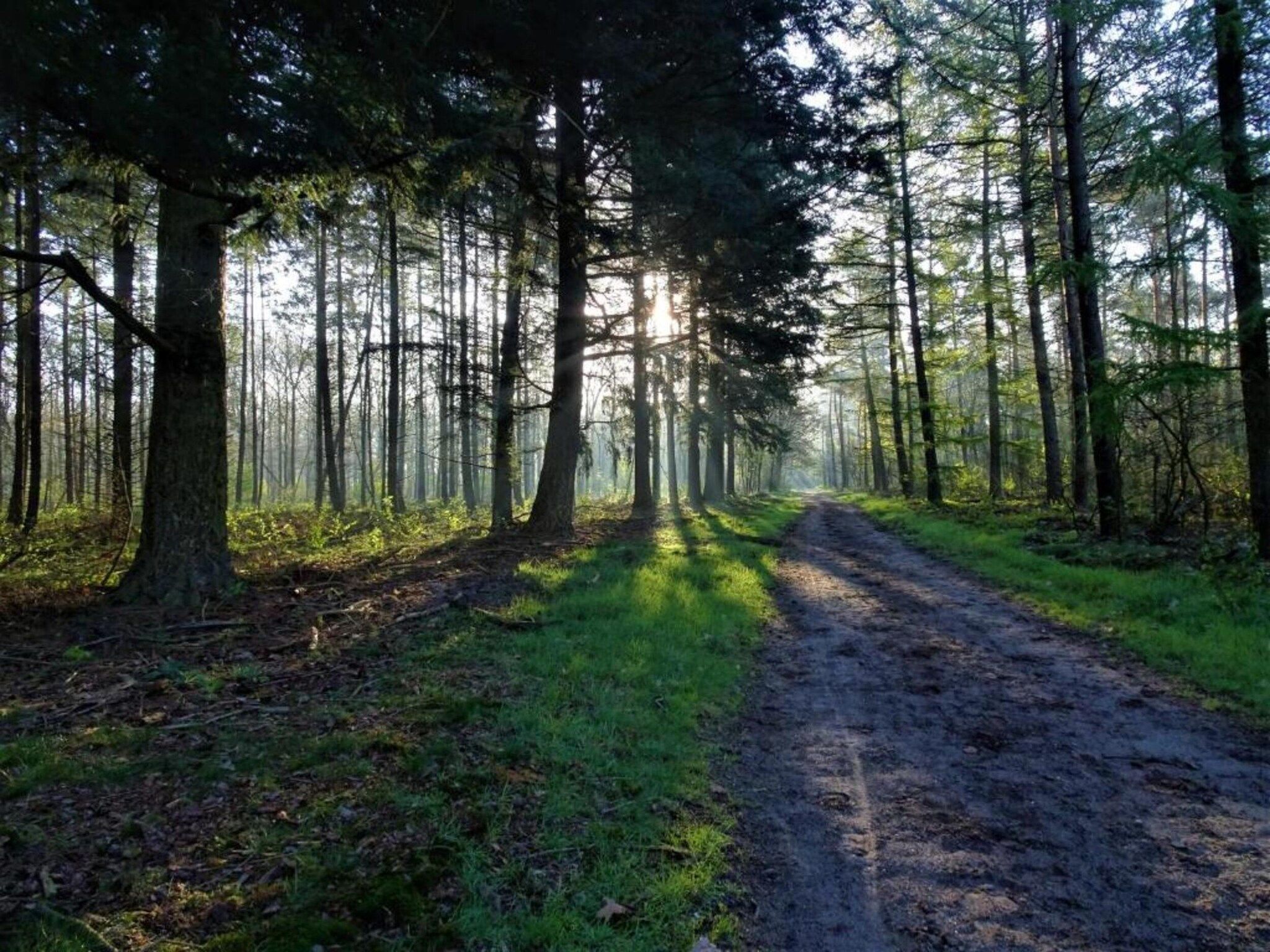 De omgeving van De Veluwse Hoevegaerde 7 in Putten