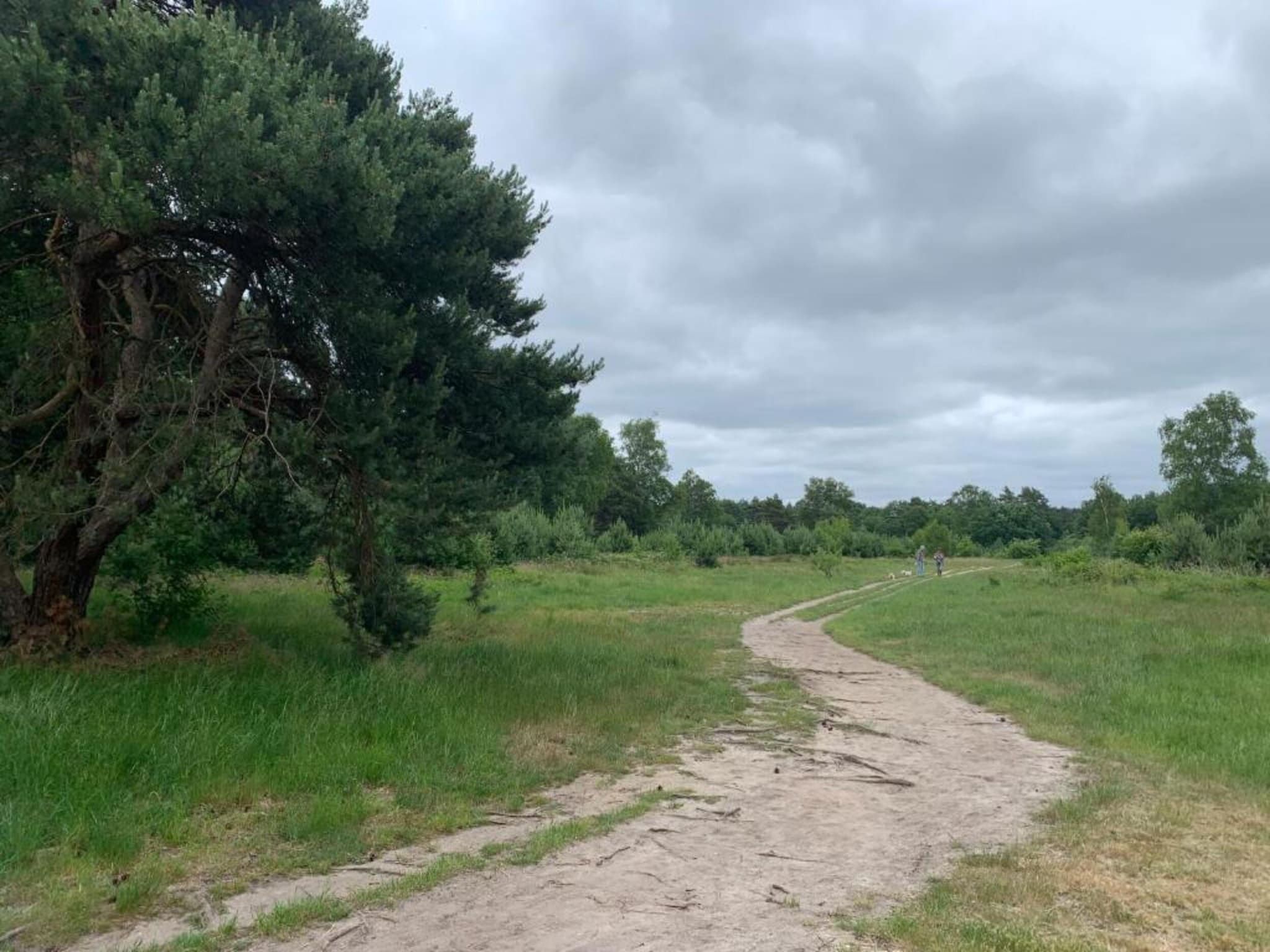 De omgeving van De Veluwse Hoevegaerde 7 in Putten