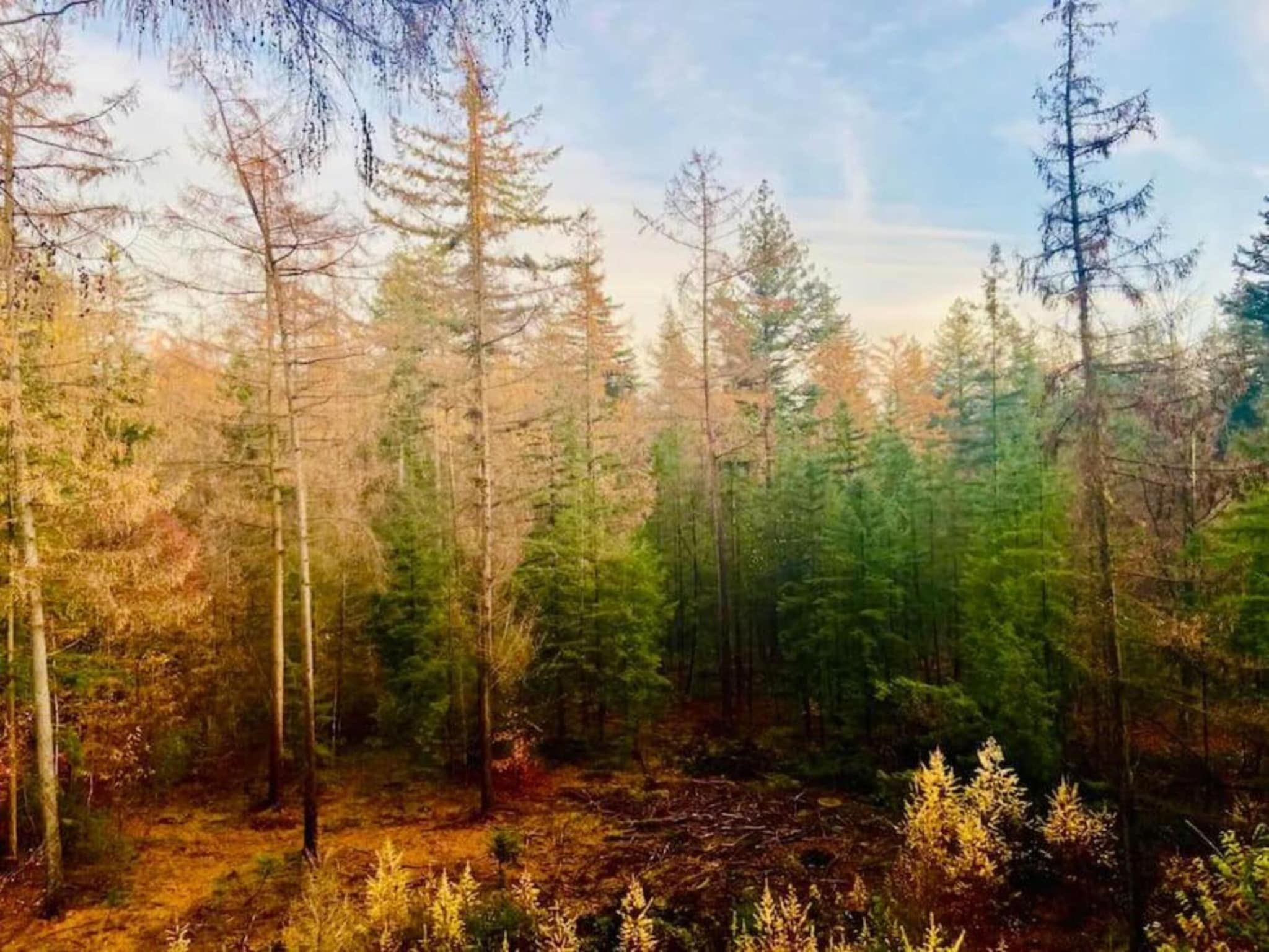 De omgeving van De Veluwse Hoevegaerde 7 in Putten