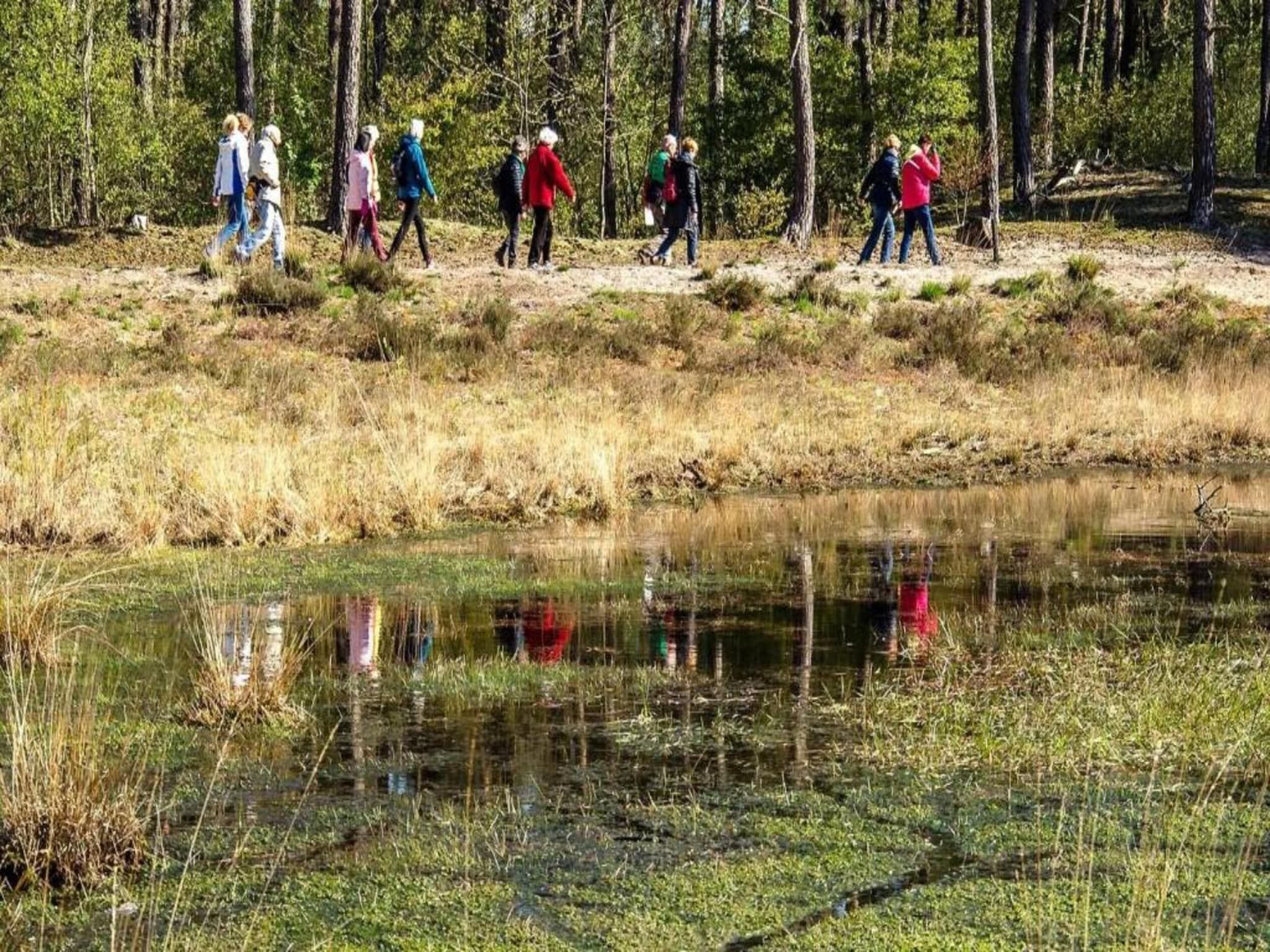 Vakantiepark Molenvelden 6 in Veldhoven - Foto 30 van 39