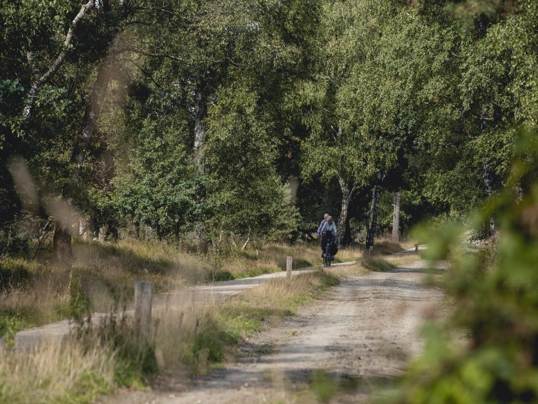 De omgeving van Vakantiepark Mölke 29 in Zuna