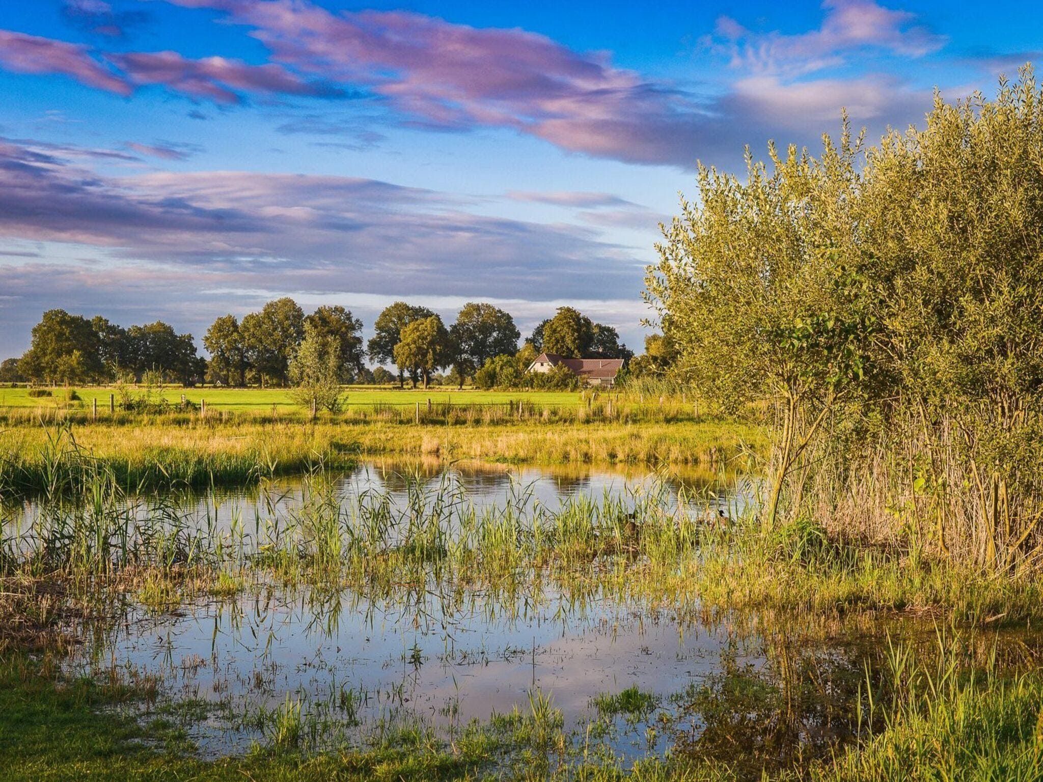 De omgeving van Vakantiepark Mölke 29 in Zuna
