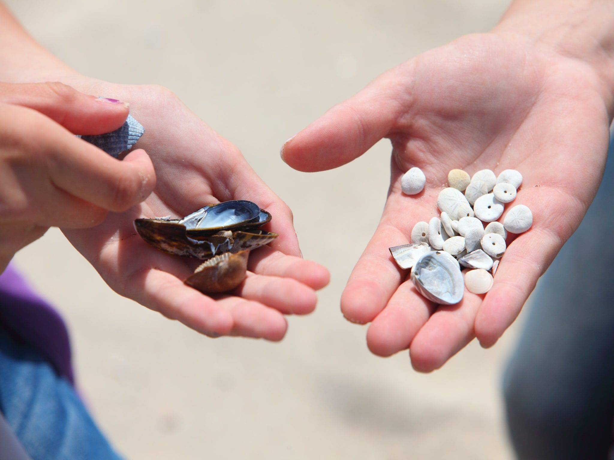 Sfeerbeeld van Vakantiepark Zeebad 12 in Breskens