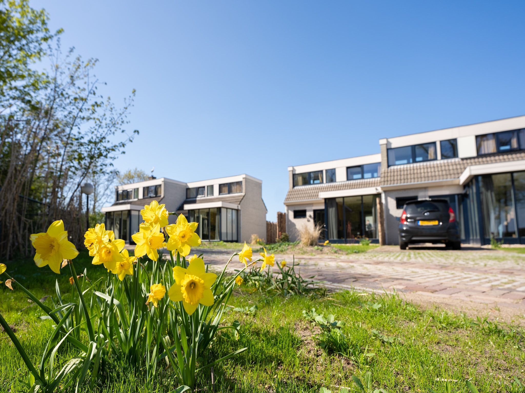 Sfeerbeeld van Vakantiepark 't Eibernest Texel 6 in De Cocksdorp