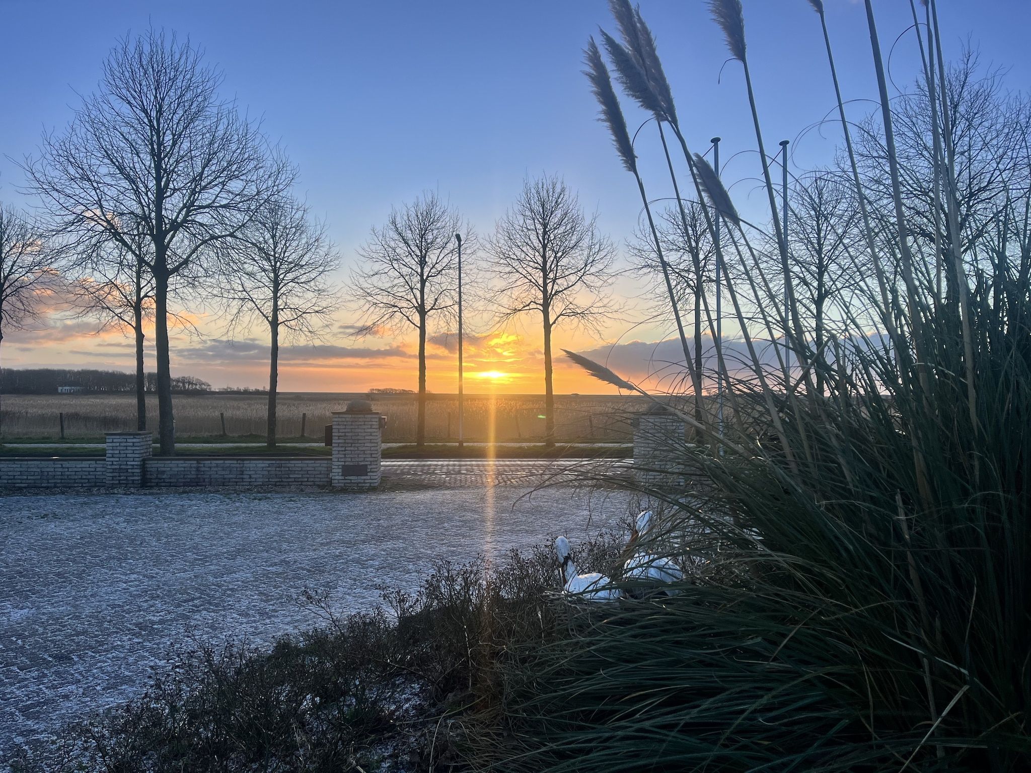 Het uitzicht vanaf Vakantiepark 't Eibernest Texel 6 in De Cocksdorp