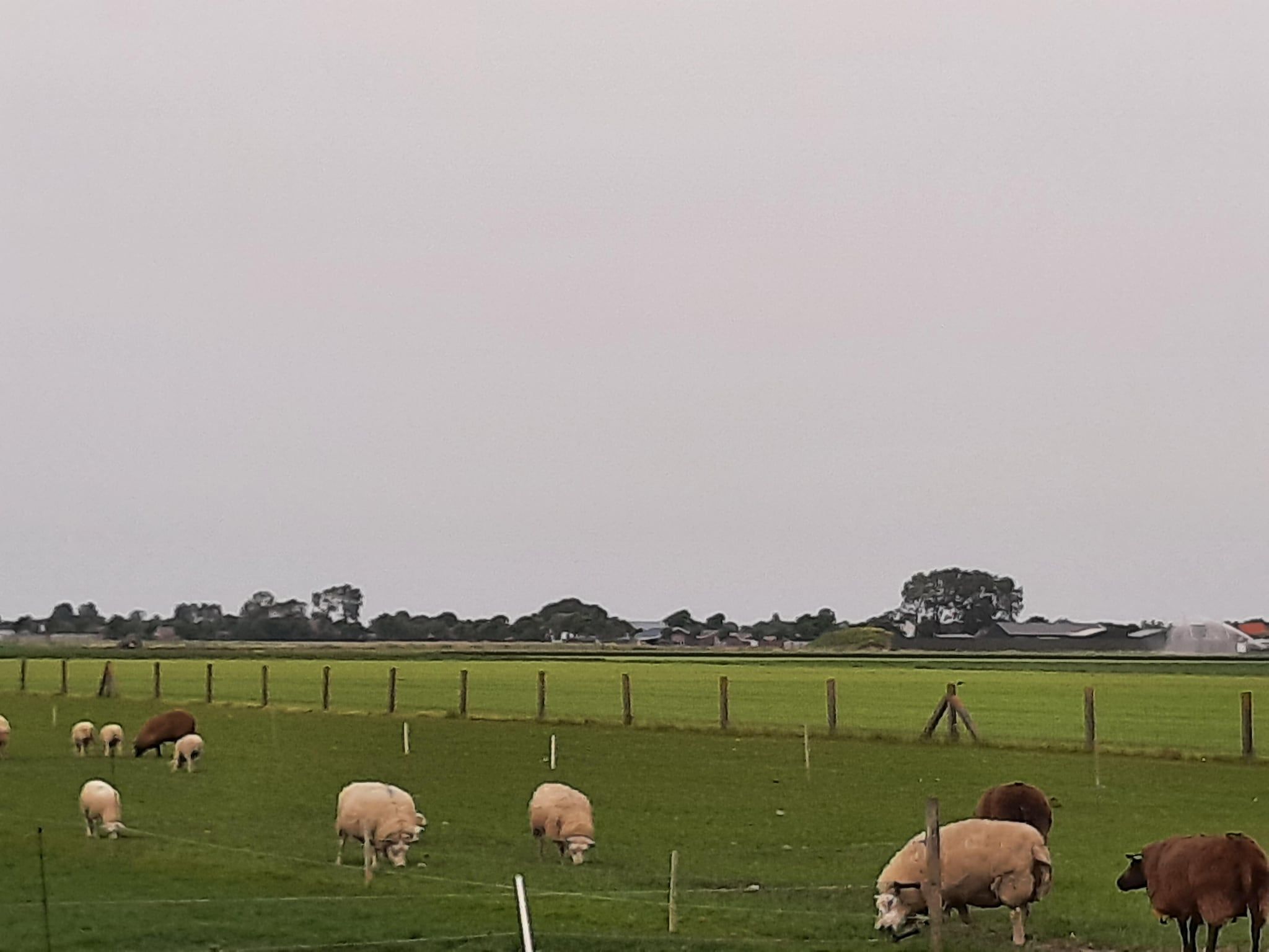 De omgeving van Vakantiehuis DJEZ in Tuitjenhorn