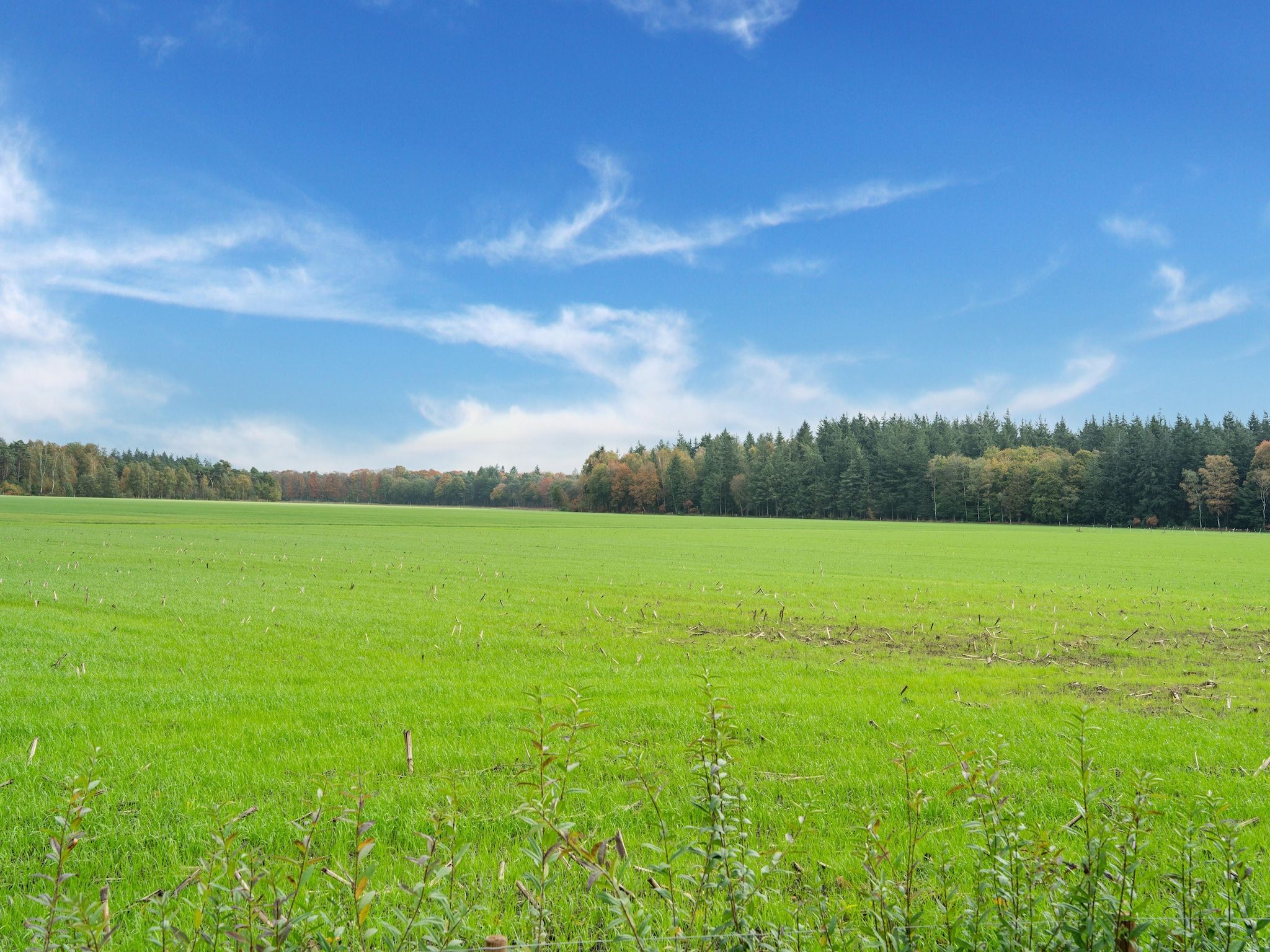 NR 2 in Goirle - Foto 35 van 40