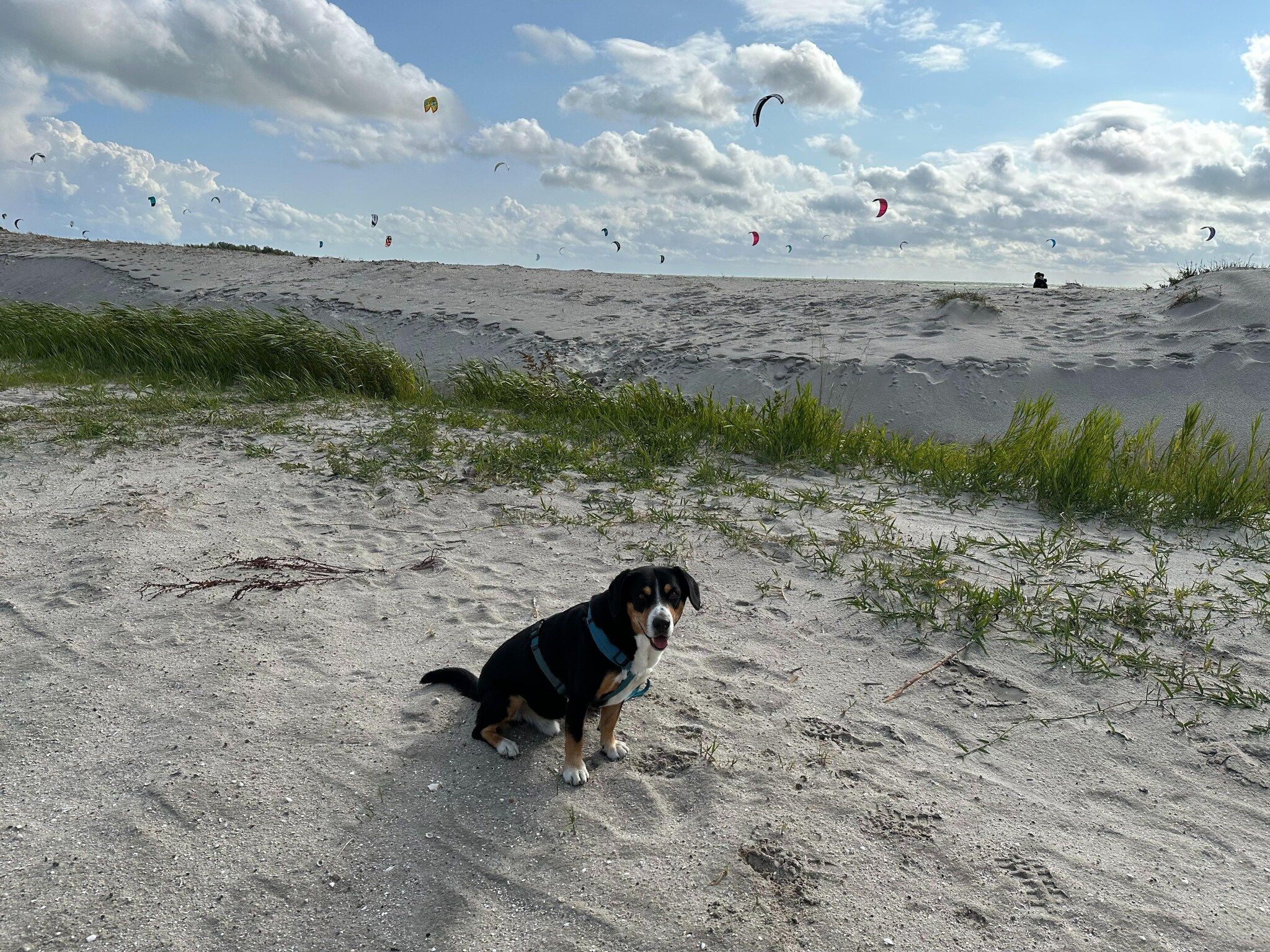 De omgeving van Luxe villa aan het water in Stavoren