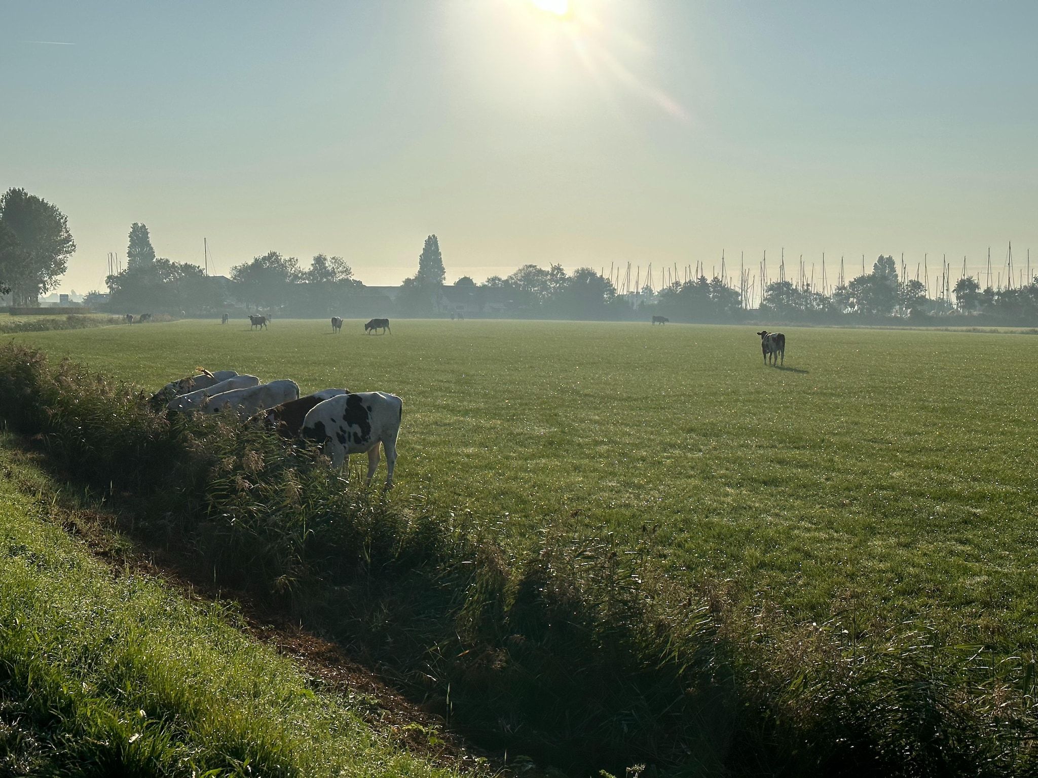 De omgeving van Luxe villa aan het water in Stavoren