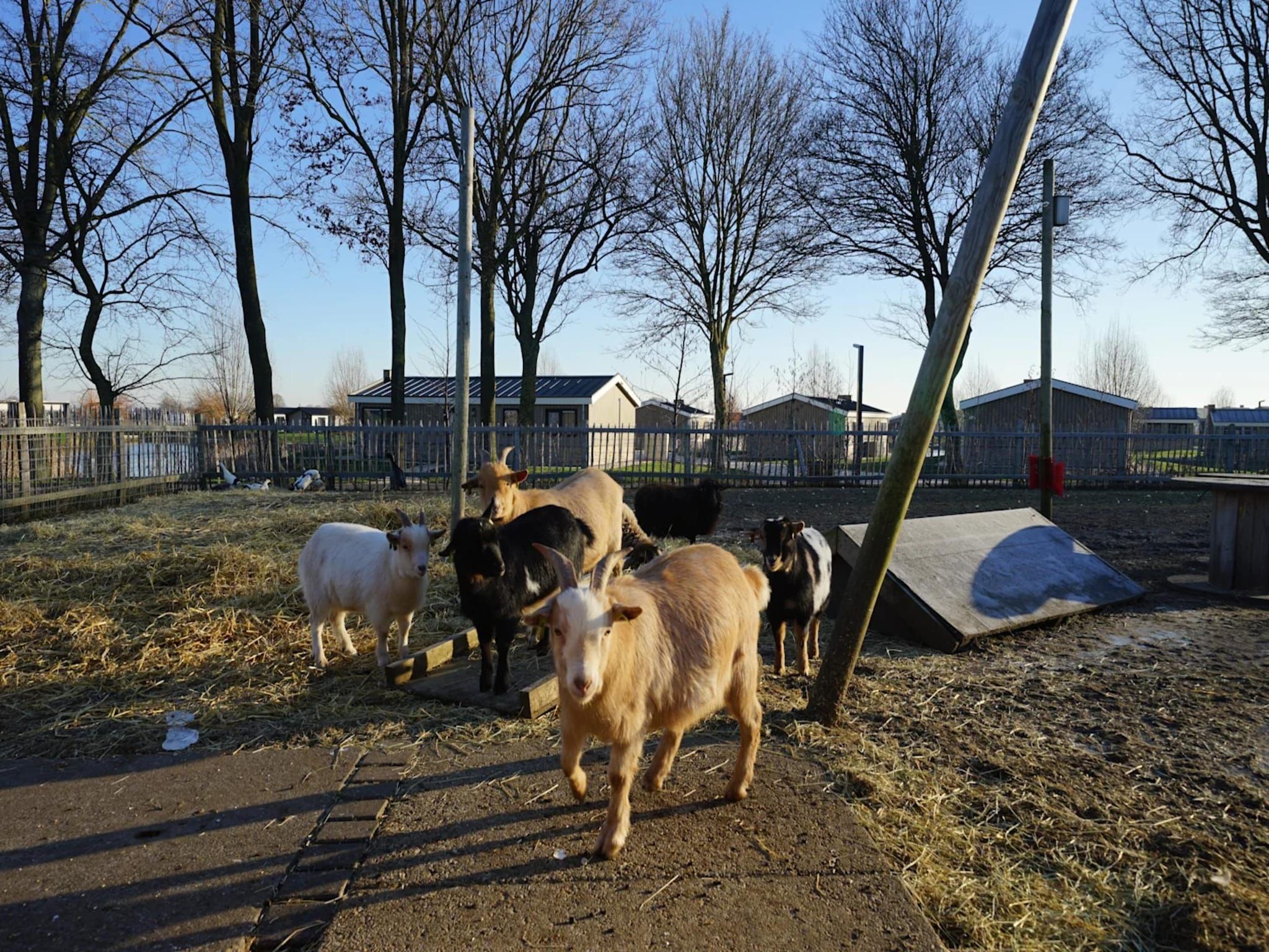 Parkfaciliteiten bij Velthorst 4 in Kampen