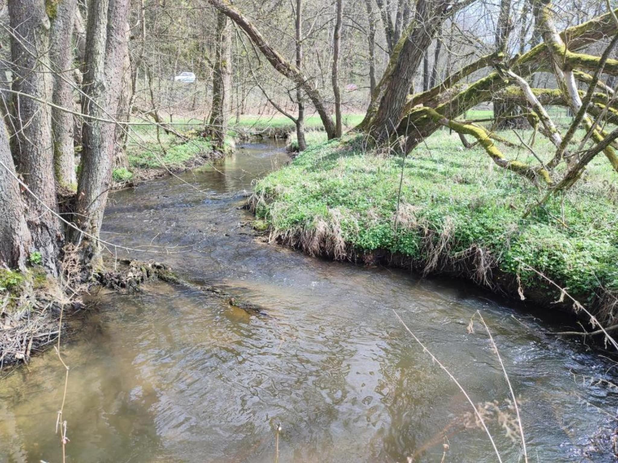 Vakantiepark de Tabaksschuur 4 in Elst - Foto 26 van 26