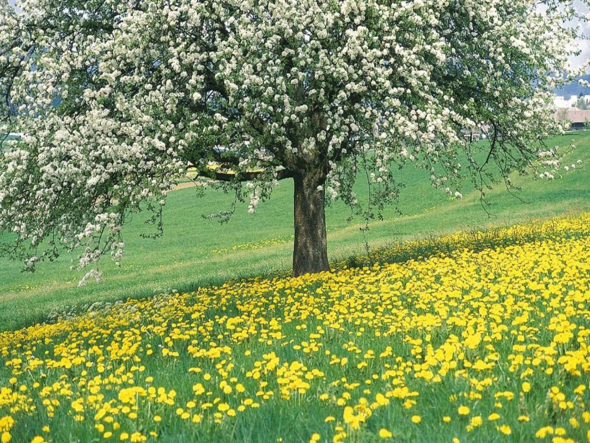 Herenhoeve de Bockhof in Schimmert - Foto 24 van 40