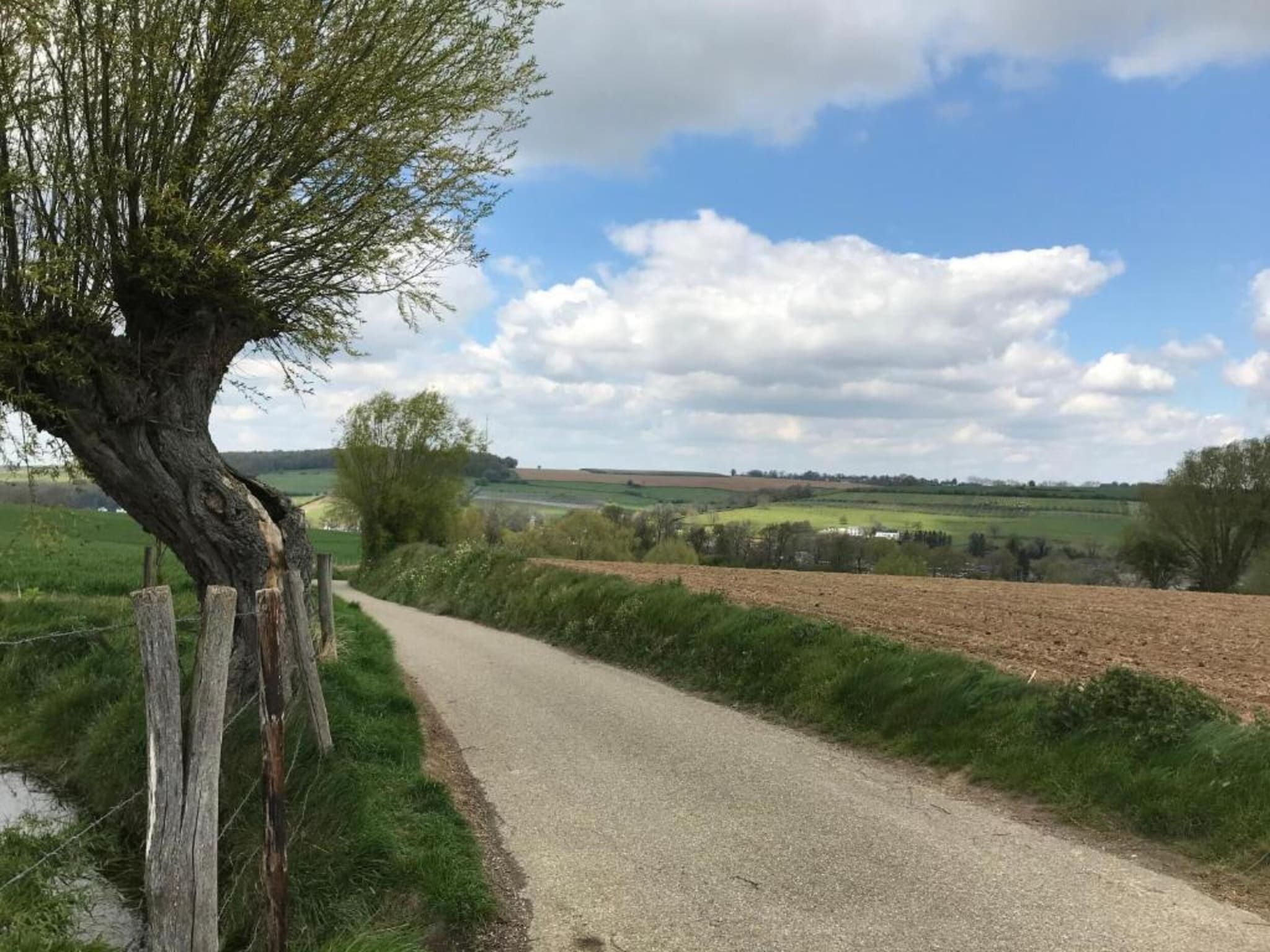 Herenhoeve de Bockhof in Schimmert - Foto 37 van 40