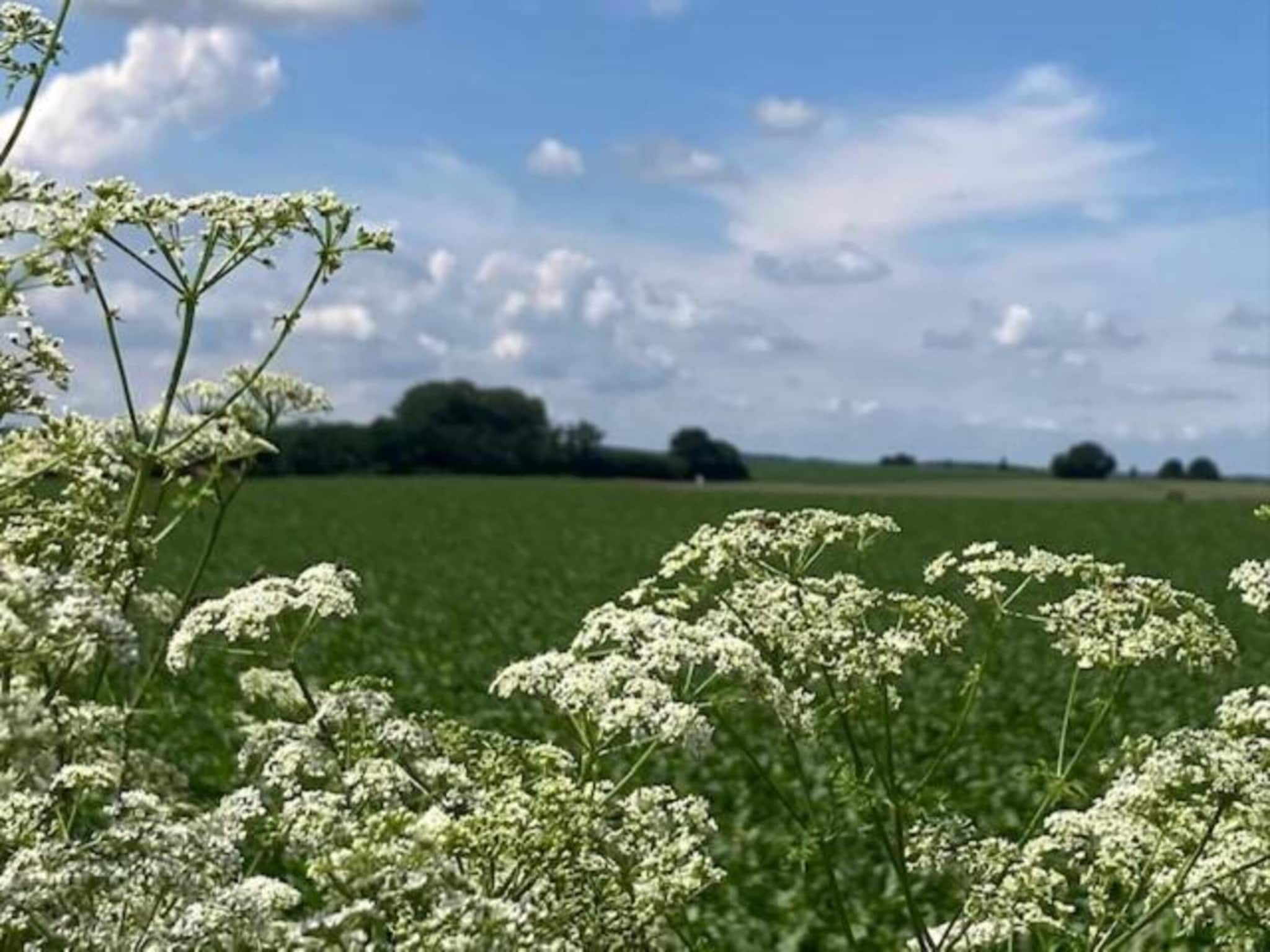 Herenhoeve de Bockhof in Schimmert - Foto 39 van 40