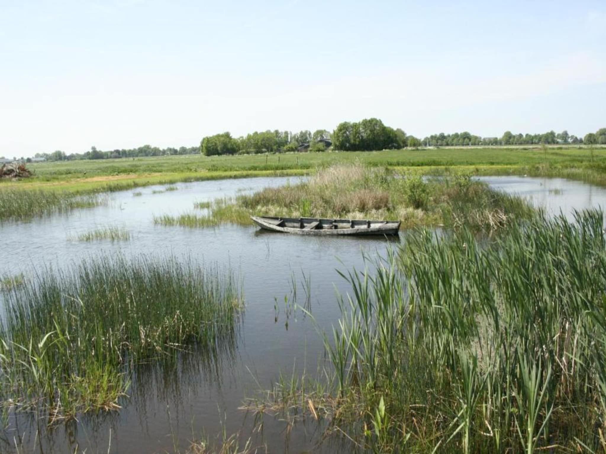 De omgeving van Vakantiepark Giethoorn 10 in Giethoorn