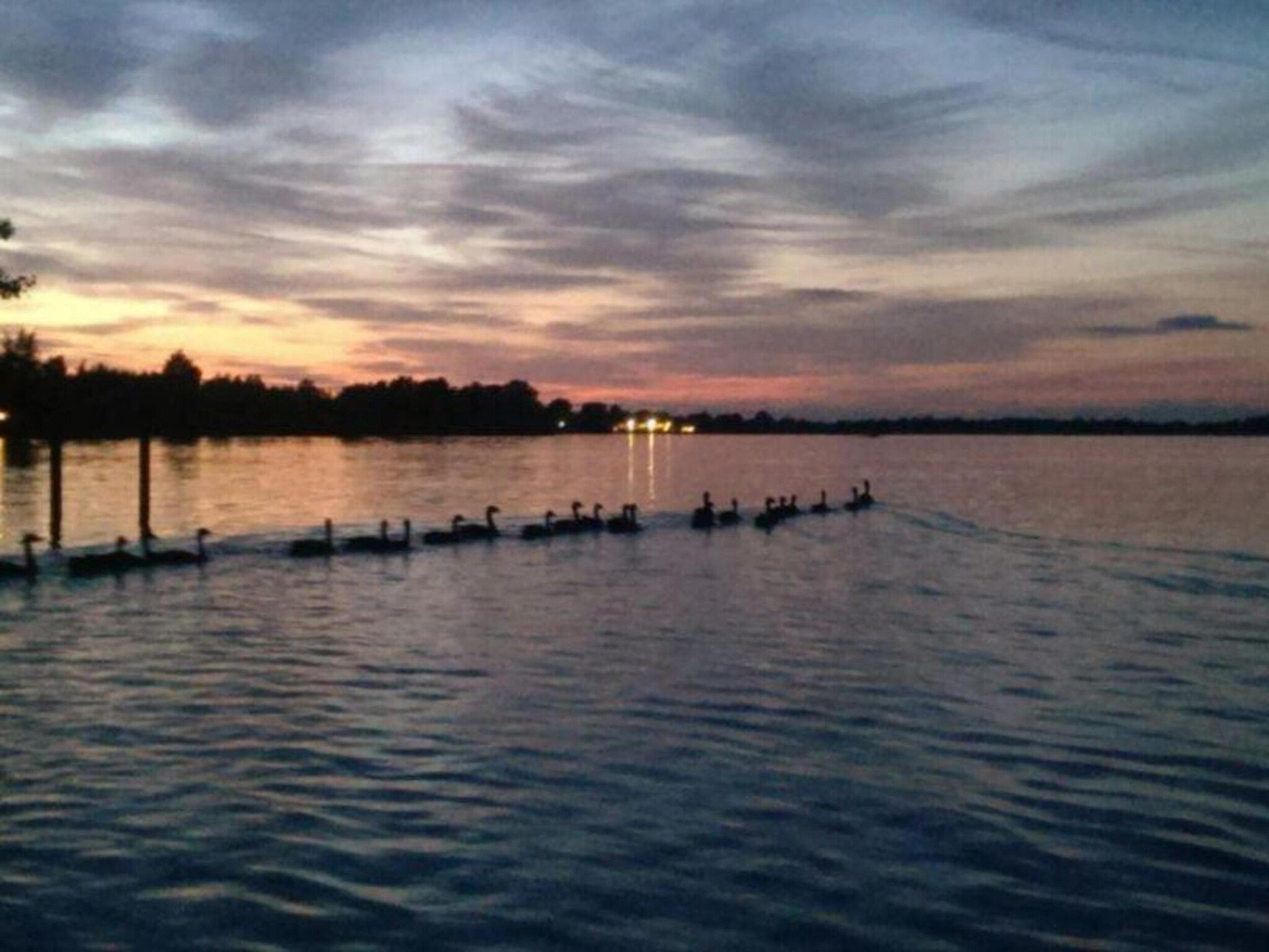 De omgeving van Vakantiepark Giethoorn 10 in Giethoorn