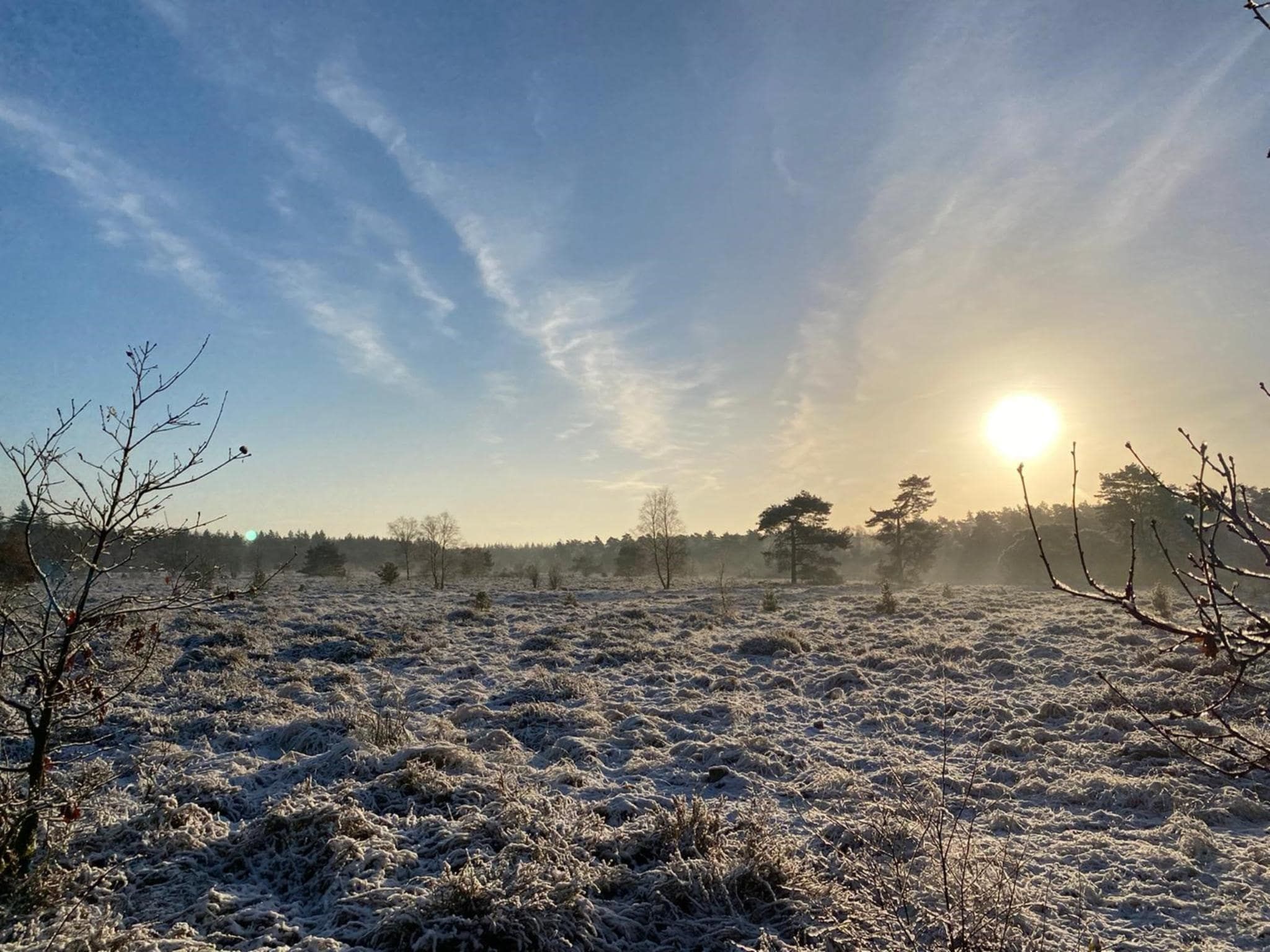 Koperwiek in Garderen - Foto 23 van 39