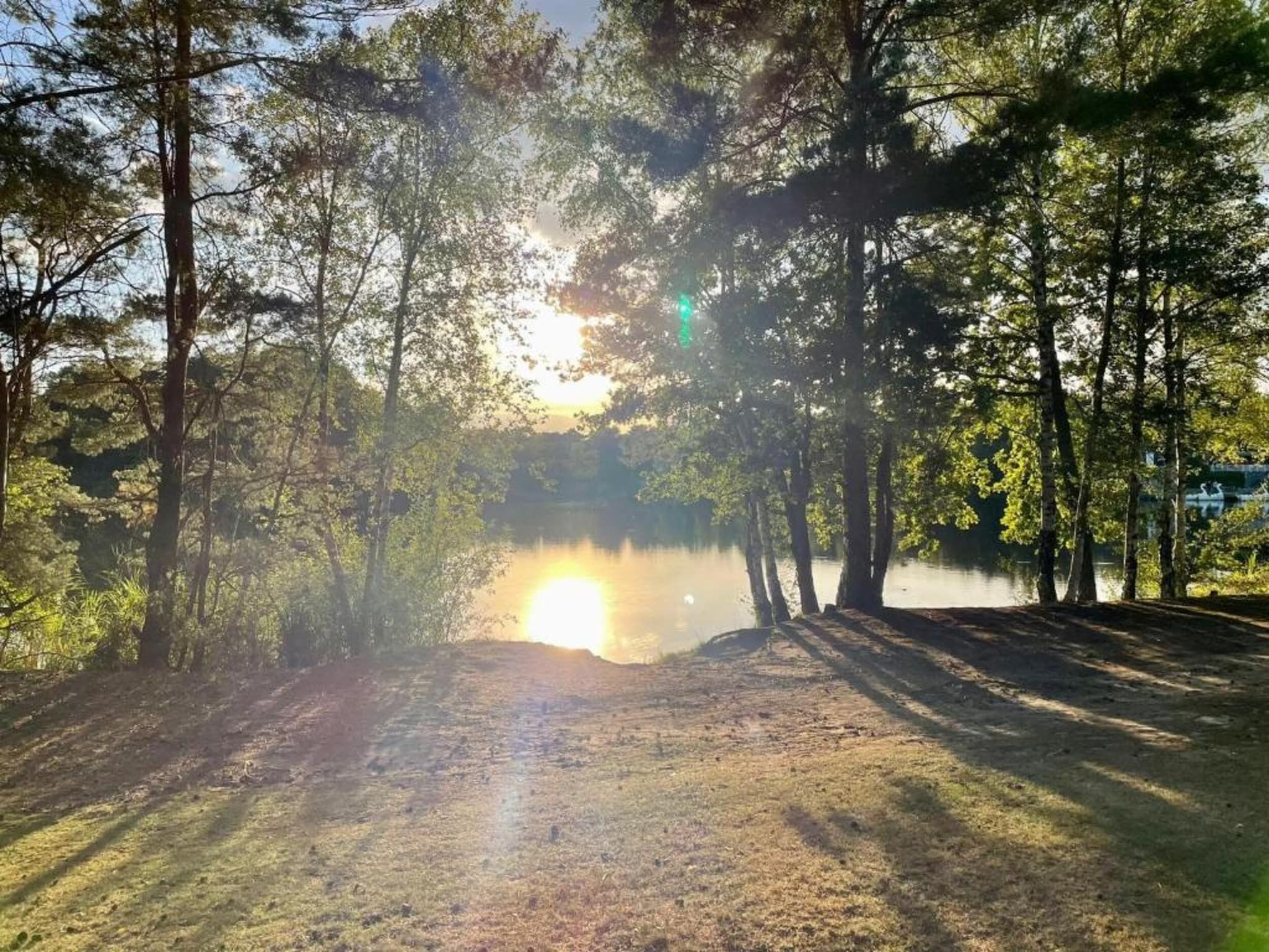 De omgeving van Bospark 't Wolfsven 14 in Mierlo