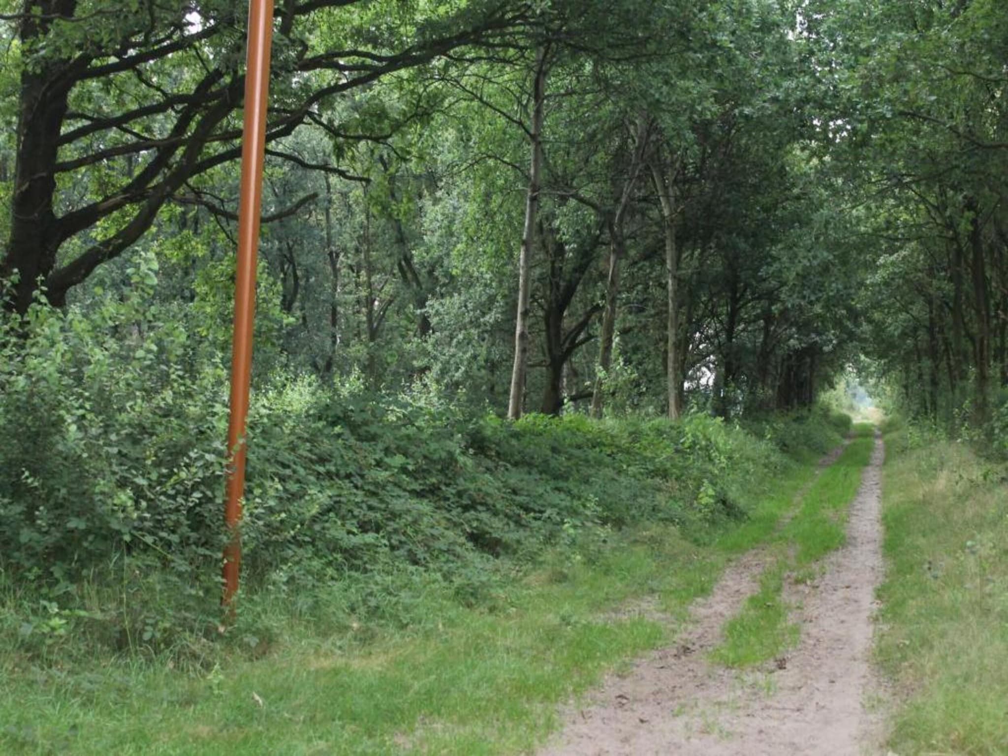 De omgeving van Vakantiepark de Katjeskelder 22 in Oosterhout
