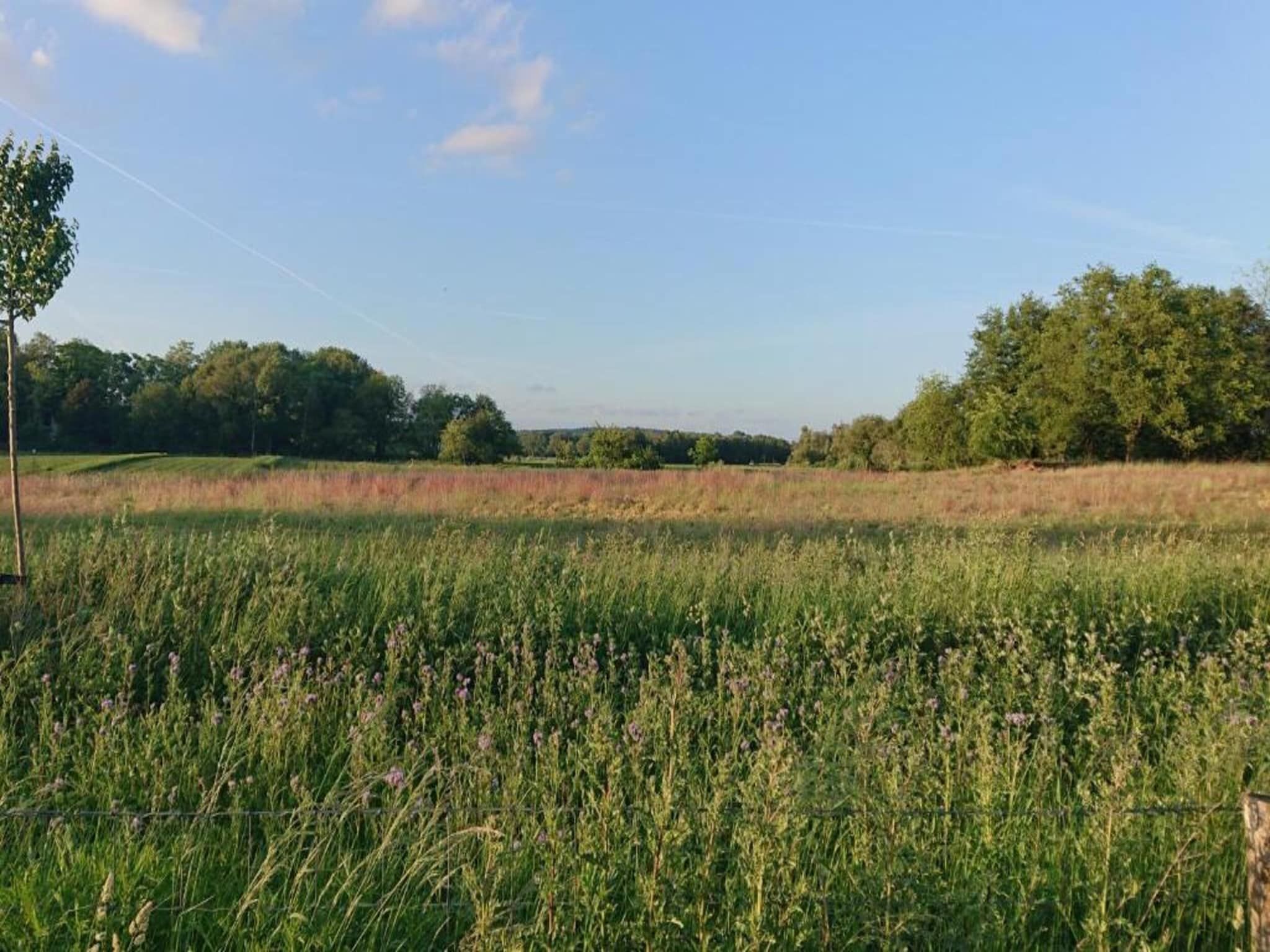Vakantie bij Meeussen - Molendal 2 in Plasmolen - Foto 36 van 40
