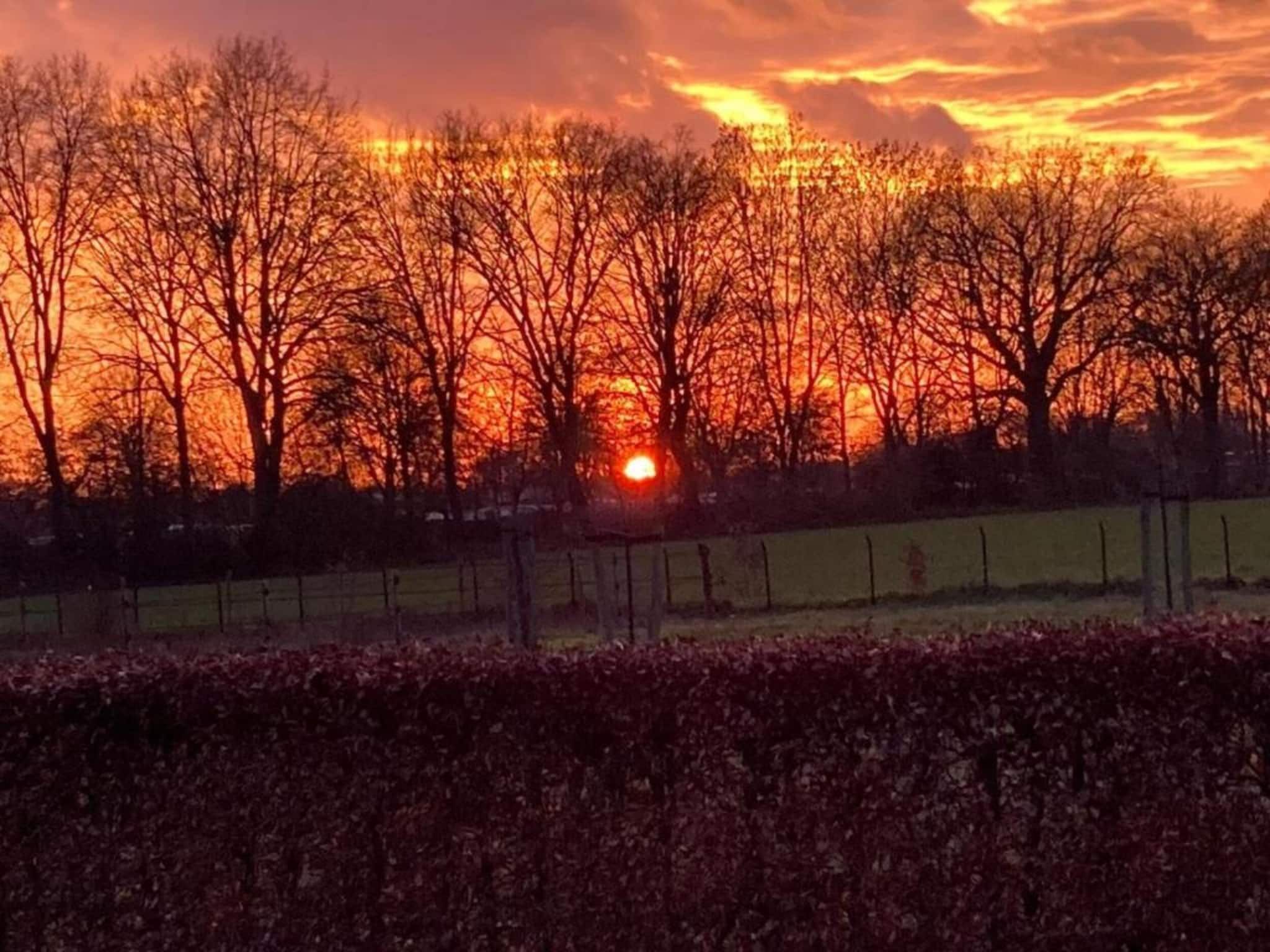 Vakantie bij Meeussen - Molendal 2 in Plasmolen - Foto 31 van 40