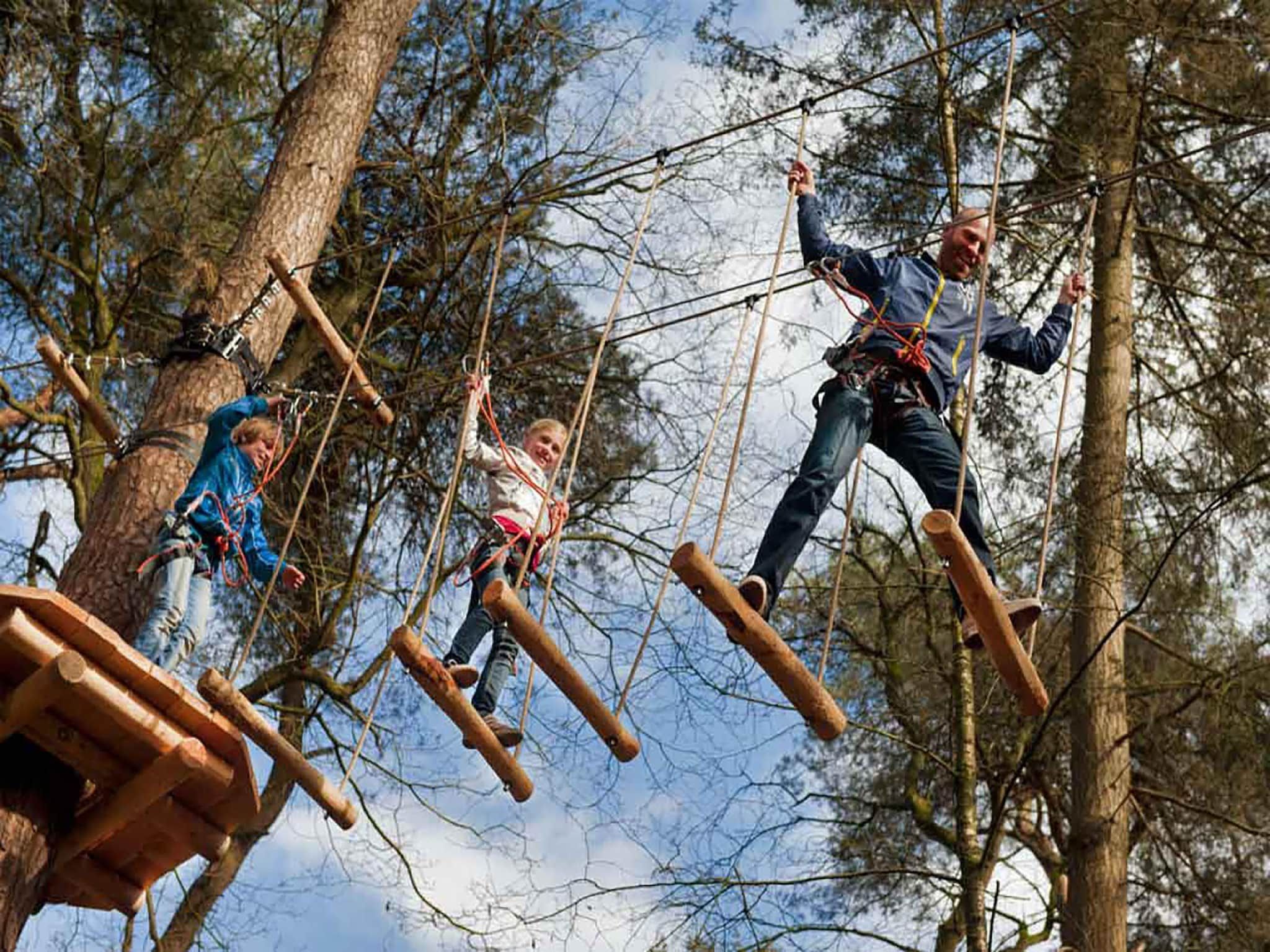 Boshuisje De Koolmees in Appelscha - Foto 22 van 44