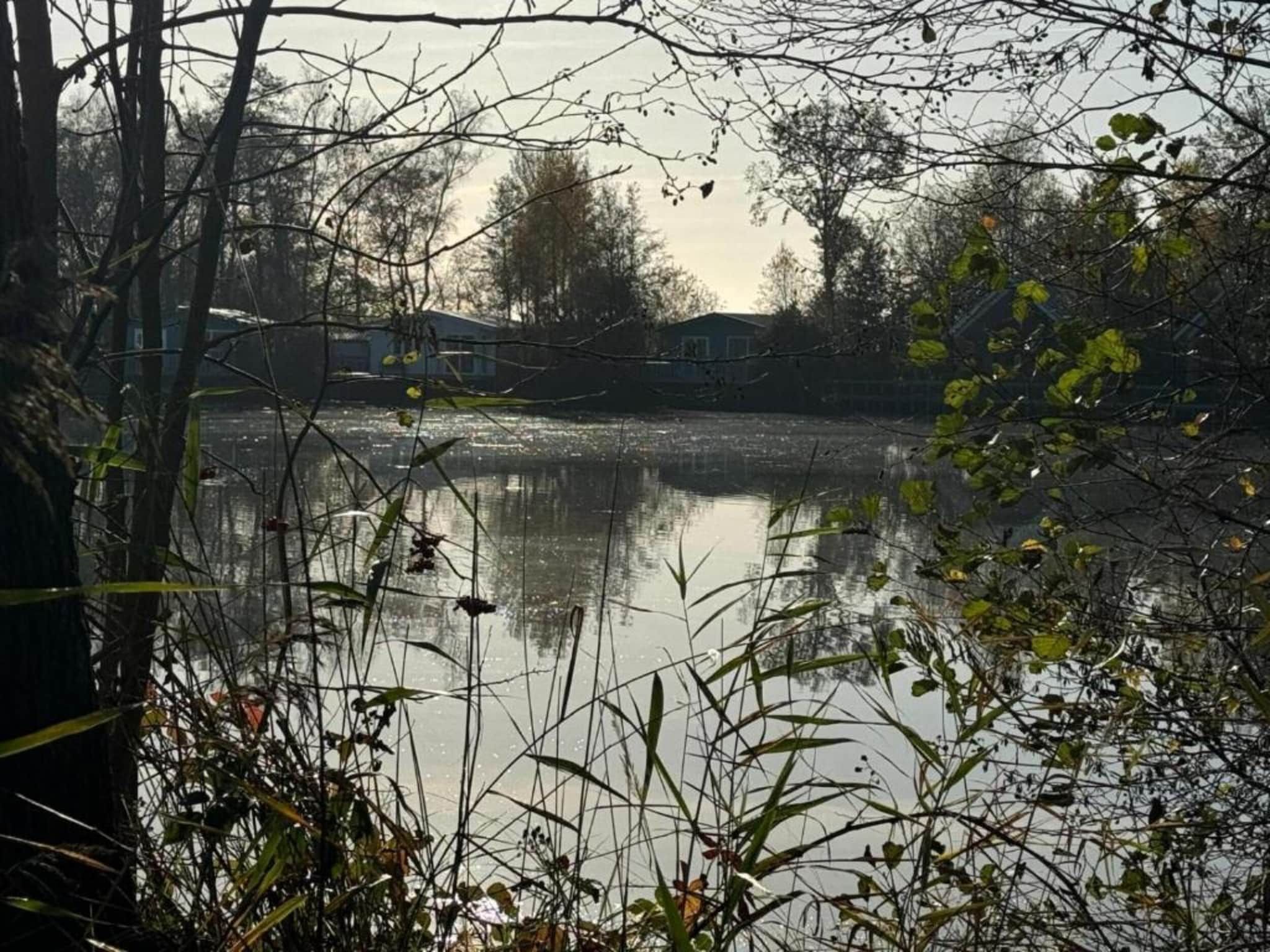 Boshuisje De Koolmees in Appelscha - Foto 29 van 44