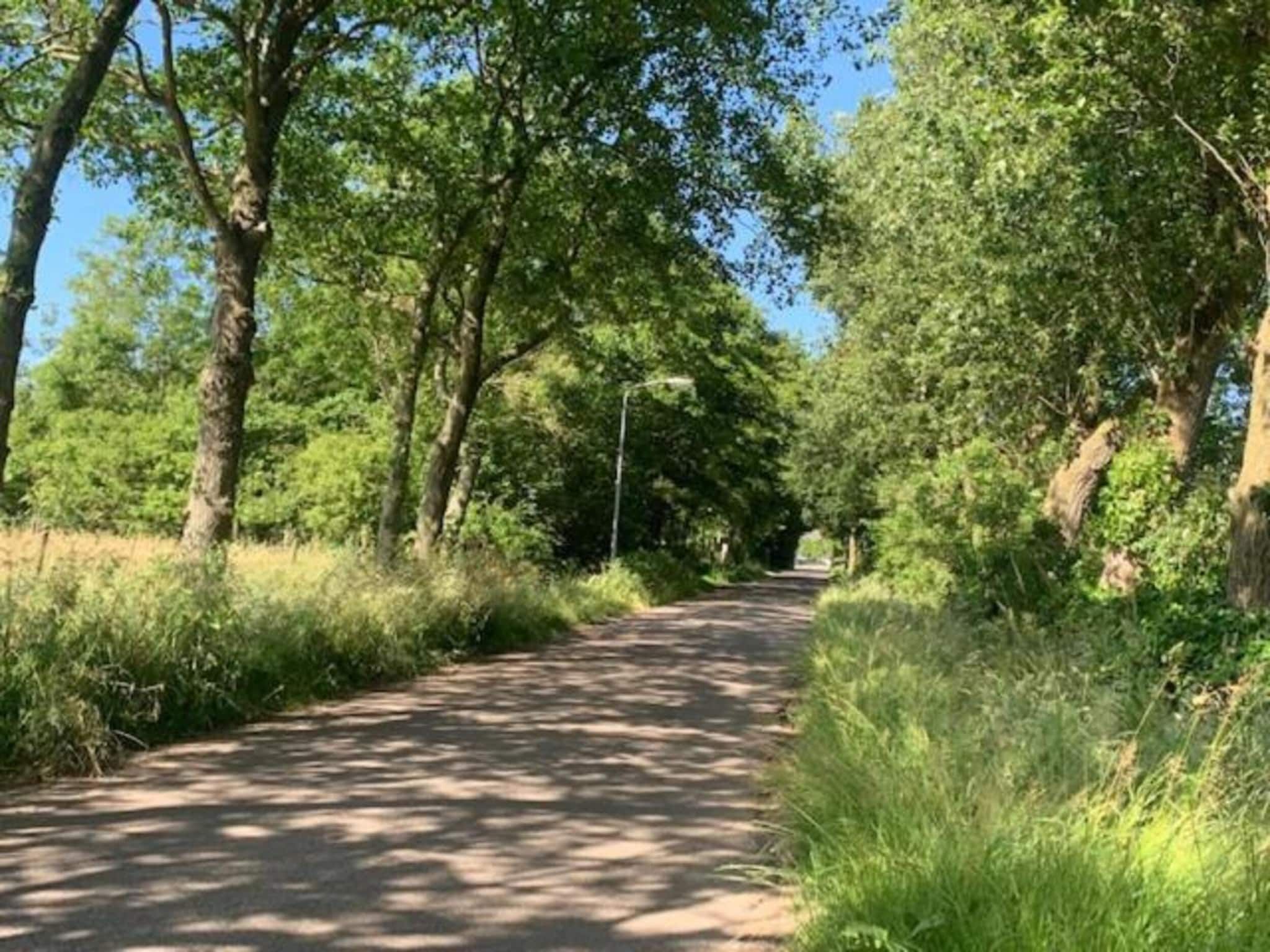 Recreatiepark Wiringherlant - Wiringher Chalet 83 in Hippolytushoef - Foto 28 van 37