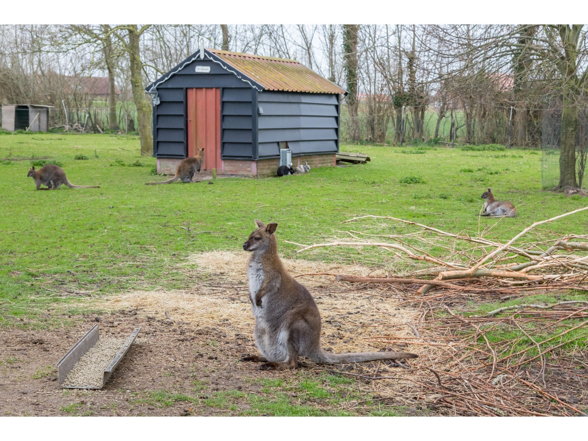 Appartement - Kon Emmaweg 6  Vrouwenpolder bovenapp in Vrouwenpolder - Foto 22 van 40