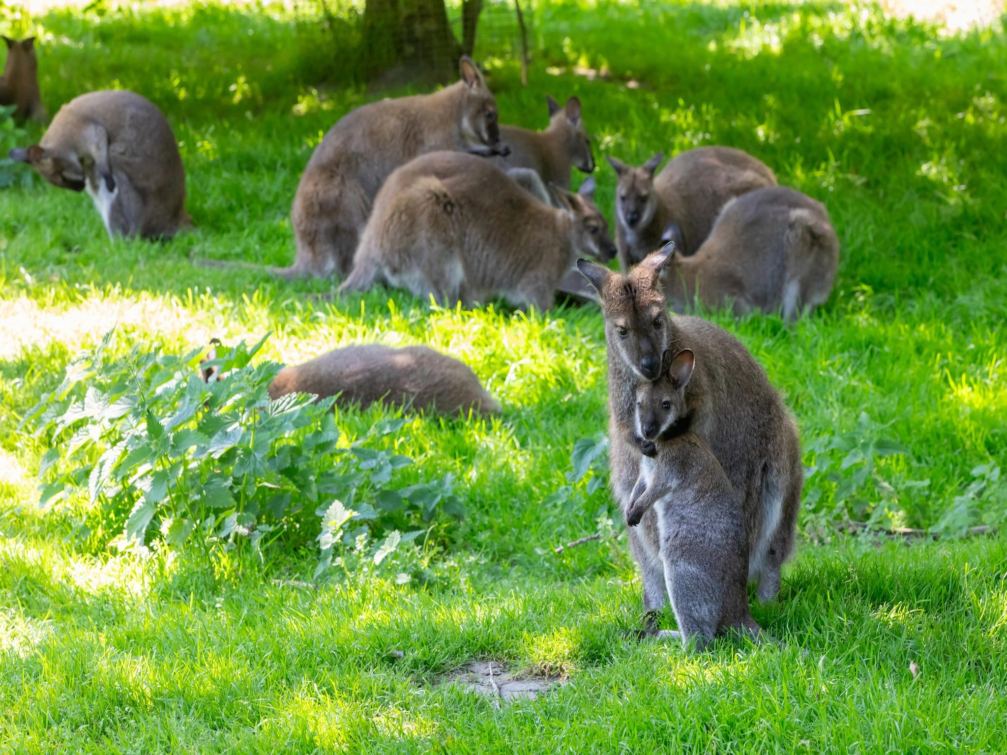 Sfeerbeeld van Appartement - Kon Emmaweg 6  Vrouwenpolder bovenapp in Vrouwenpolder