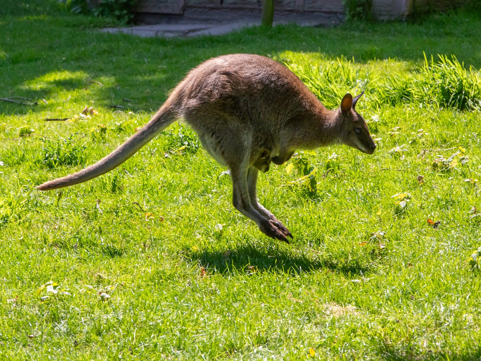 Sfeerbeeld van Appartement - Kon Emmaweg 6  Vrouwenpolder bovenapp in Vrouwenpolder
