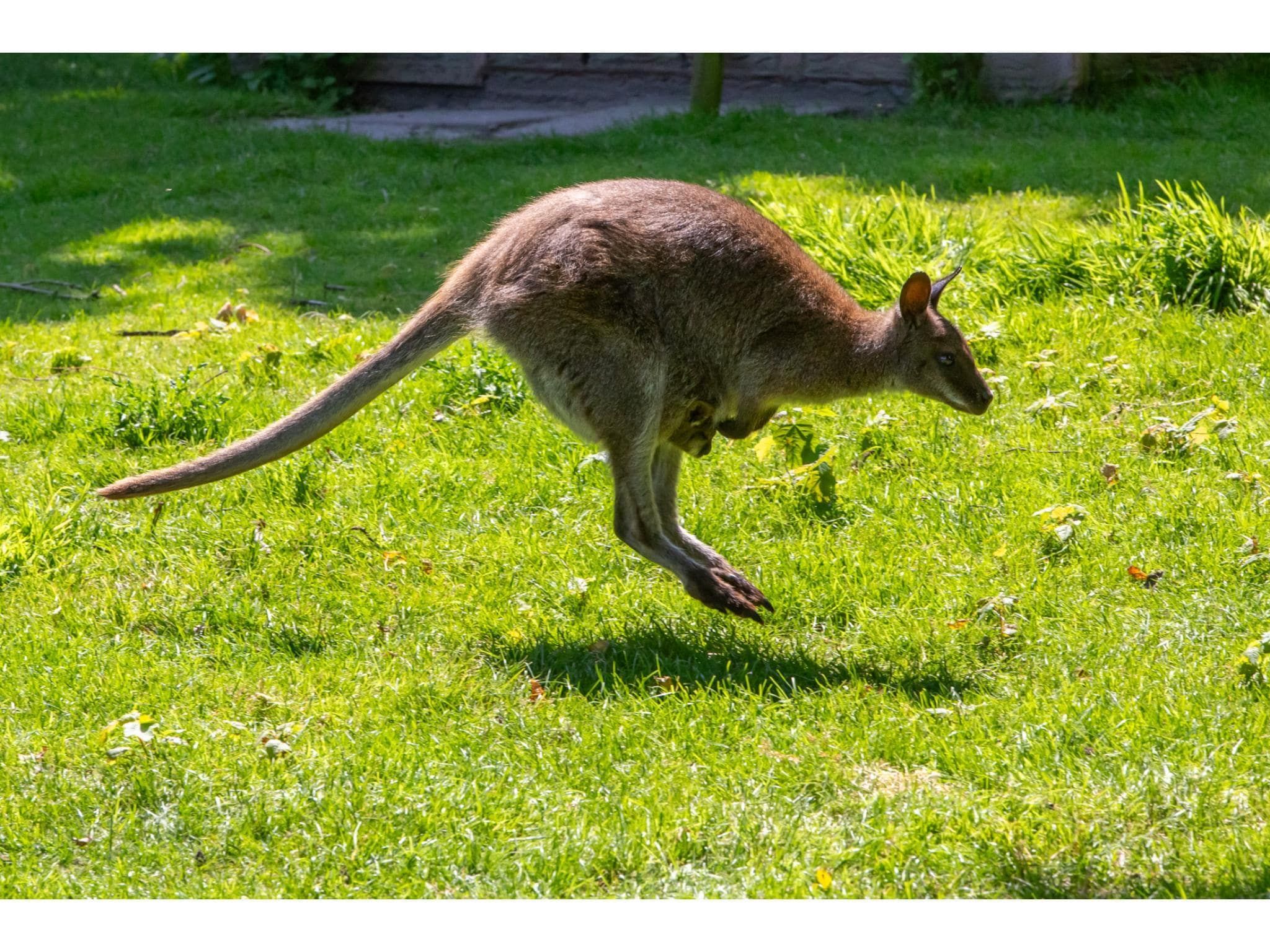Appartement - Kon Emmaweg 6  beneden app in Vrouwenpolder - Foto 22 van 40
