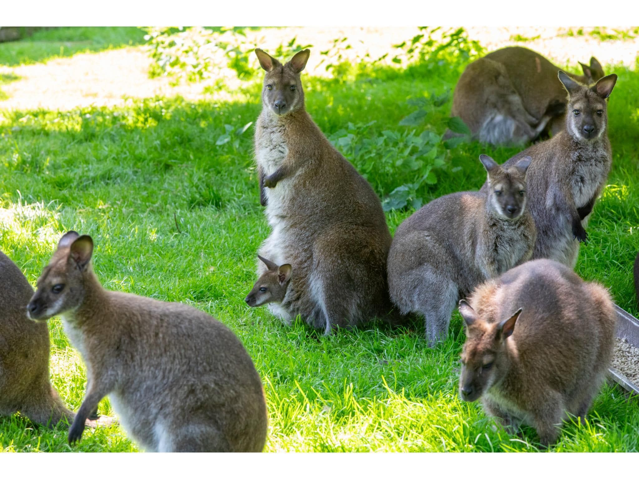Appartement - Kon Emmaweg 6  beneden app in Vrouwenpolder - Foto 23 van 40